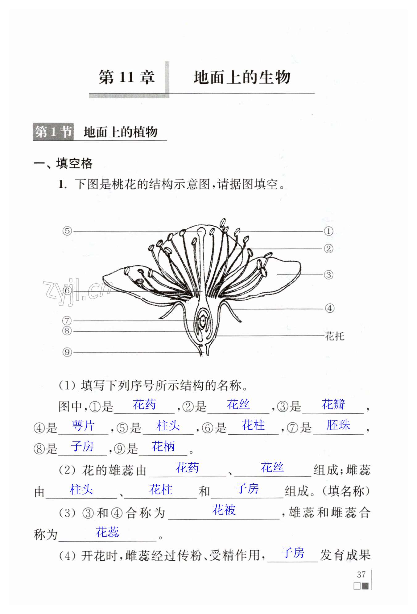 第37页