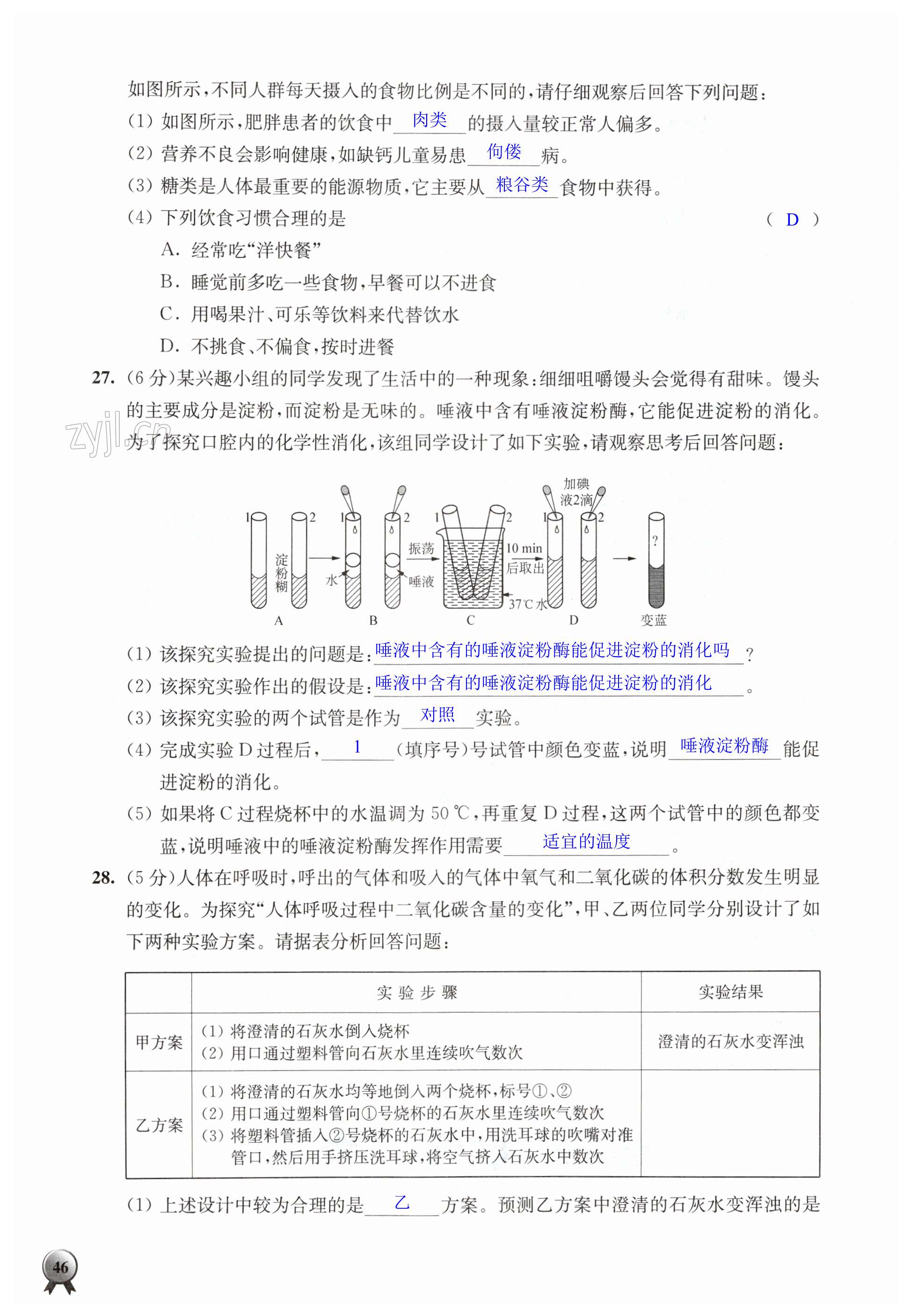 第46頁