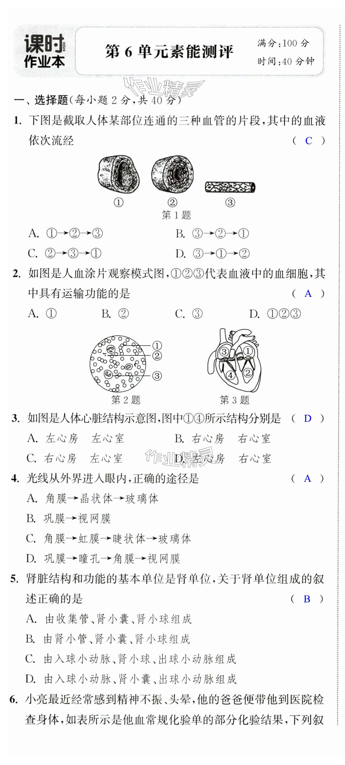 第19頁