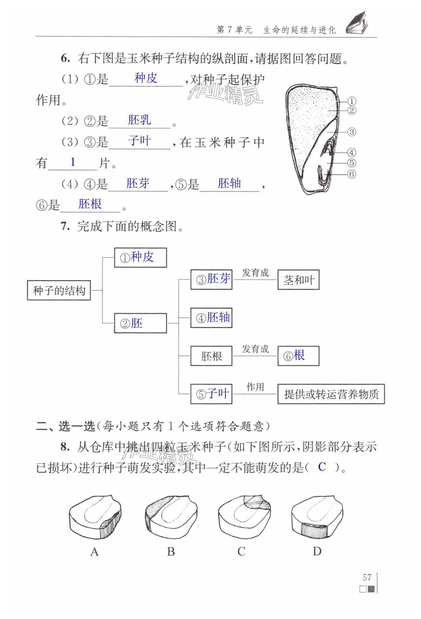 第57頁(yè)