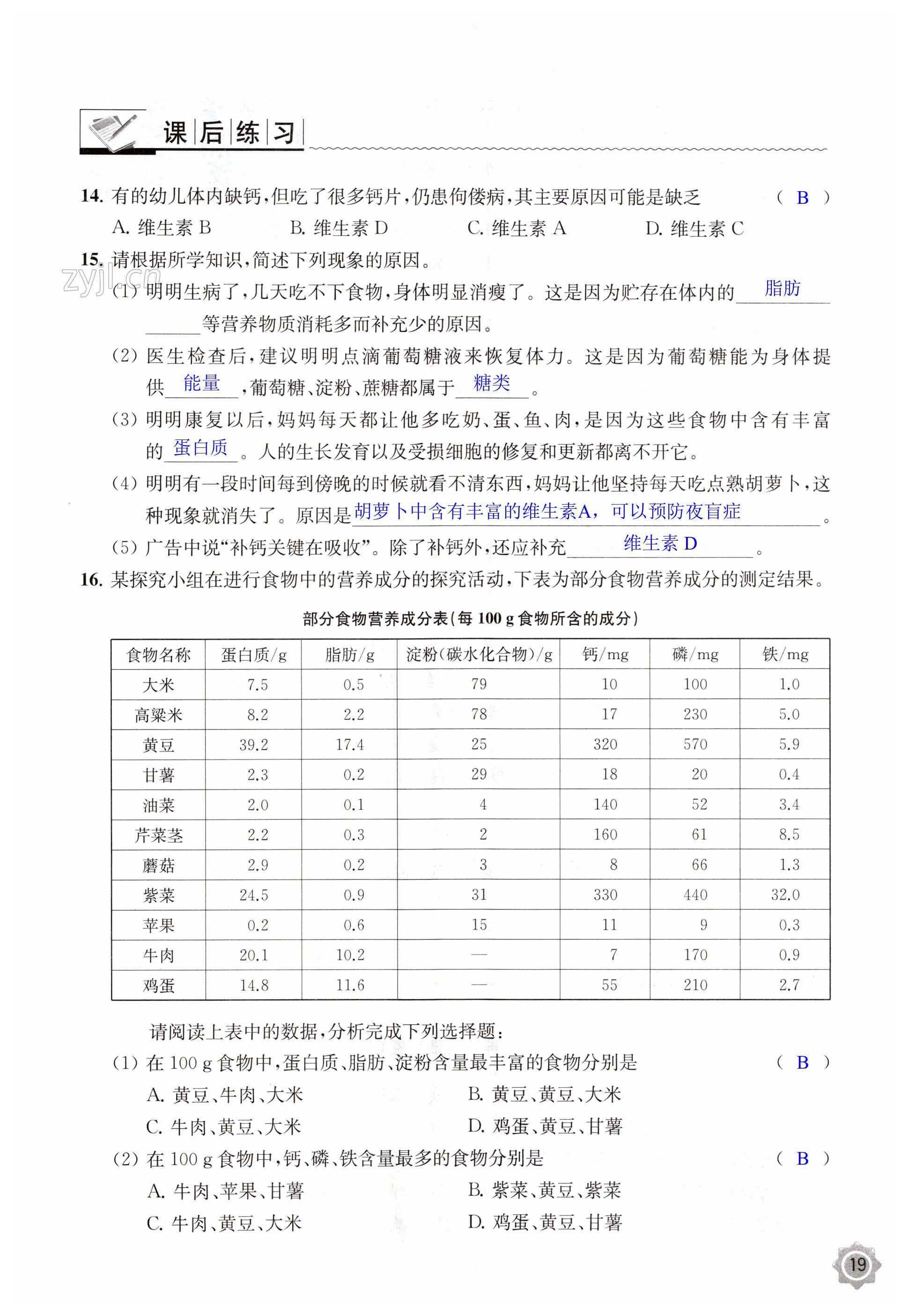 第19頁