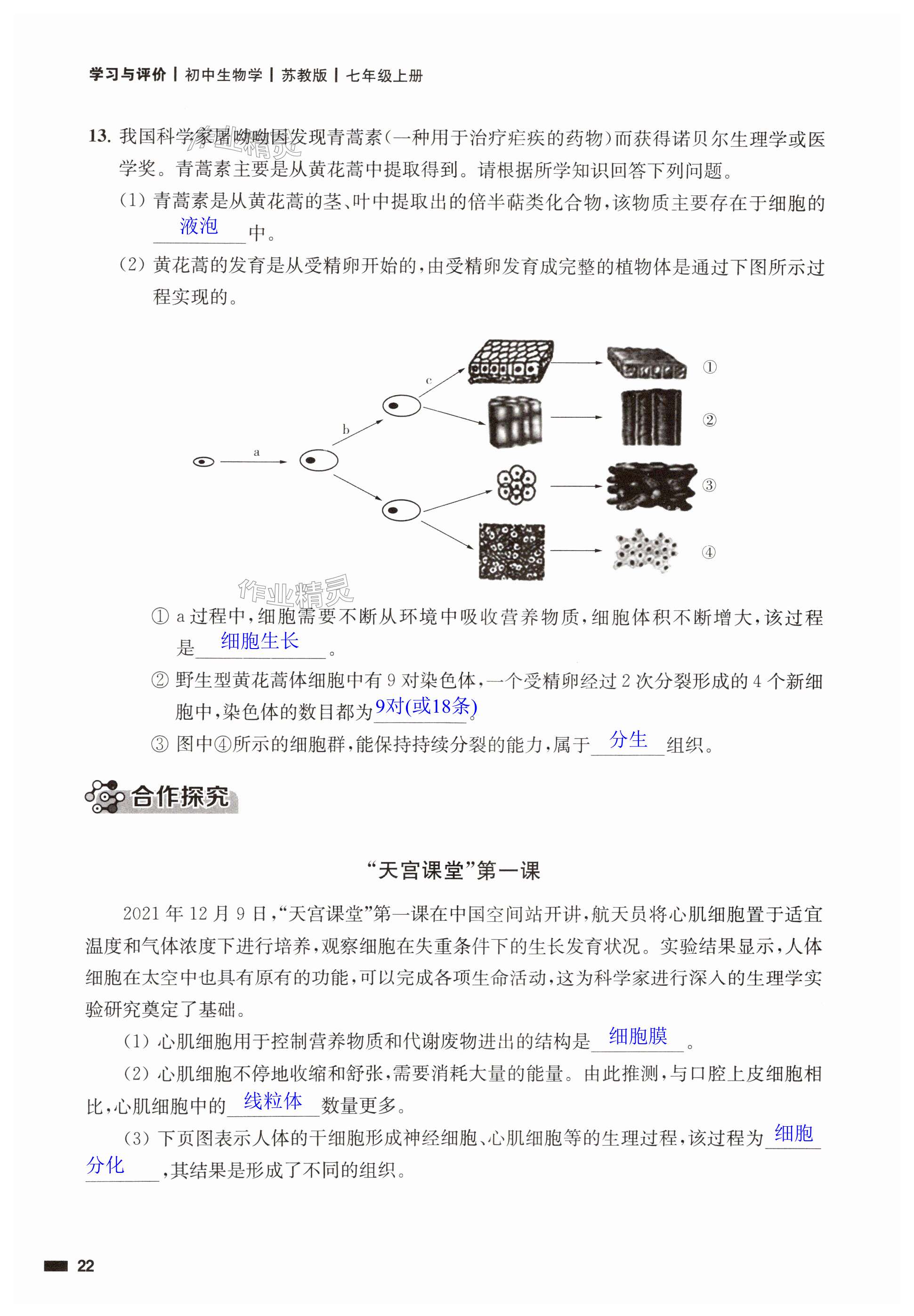 第22頁(yè)