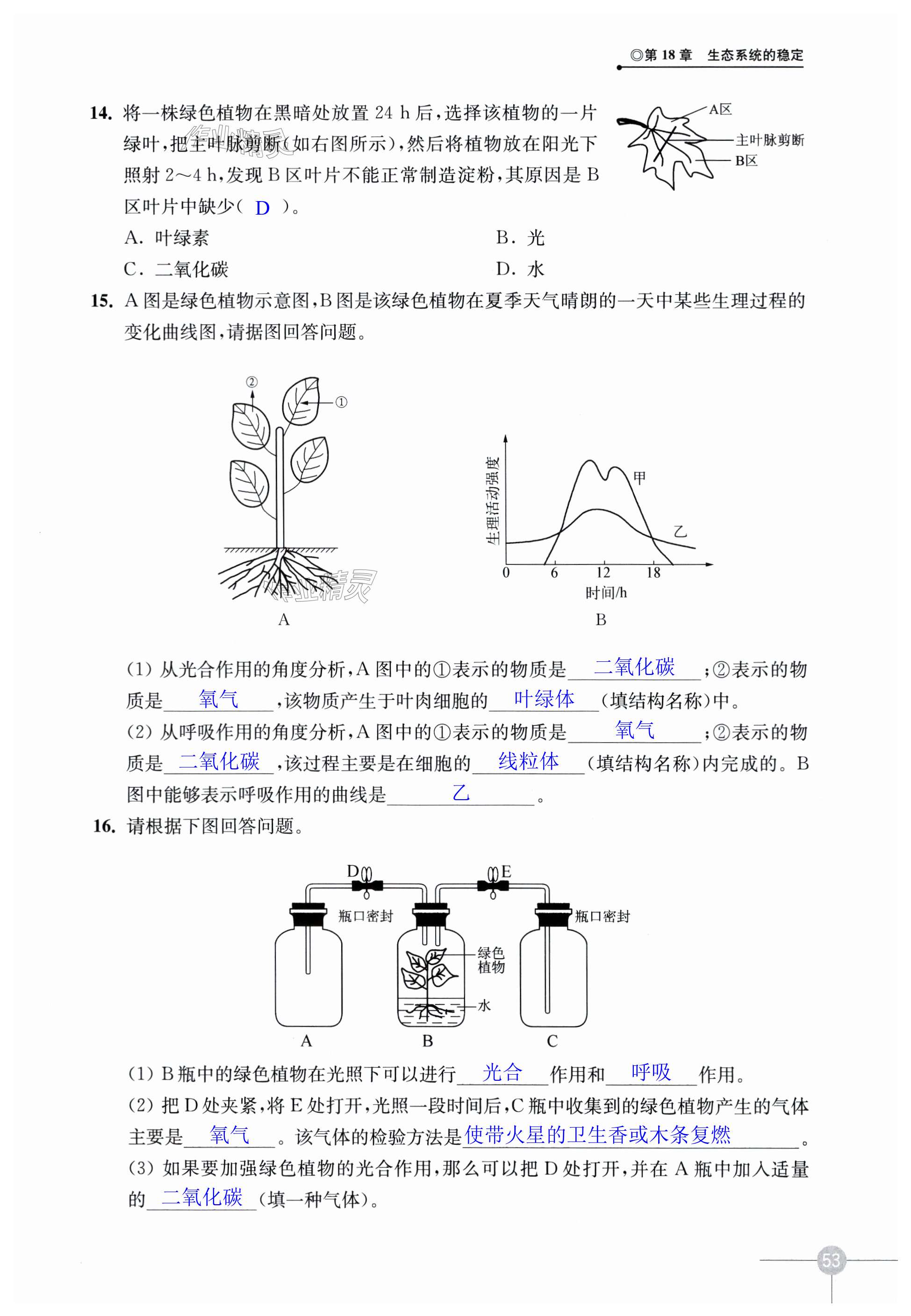 第53頁