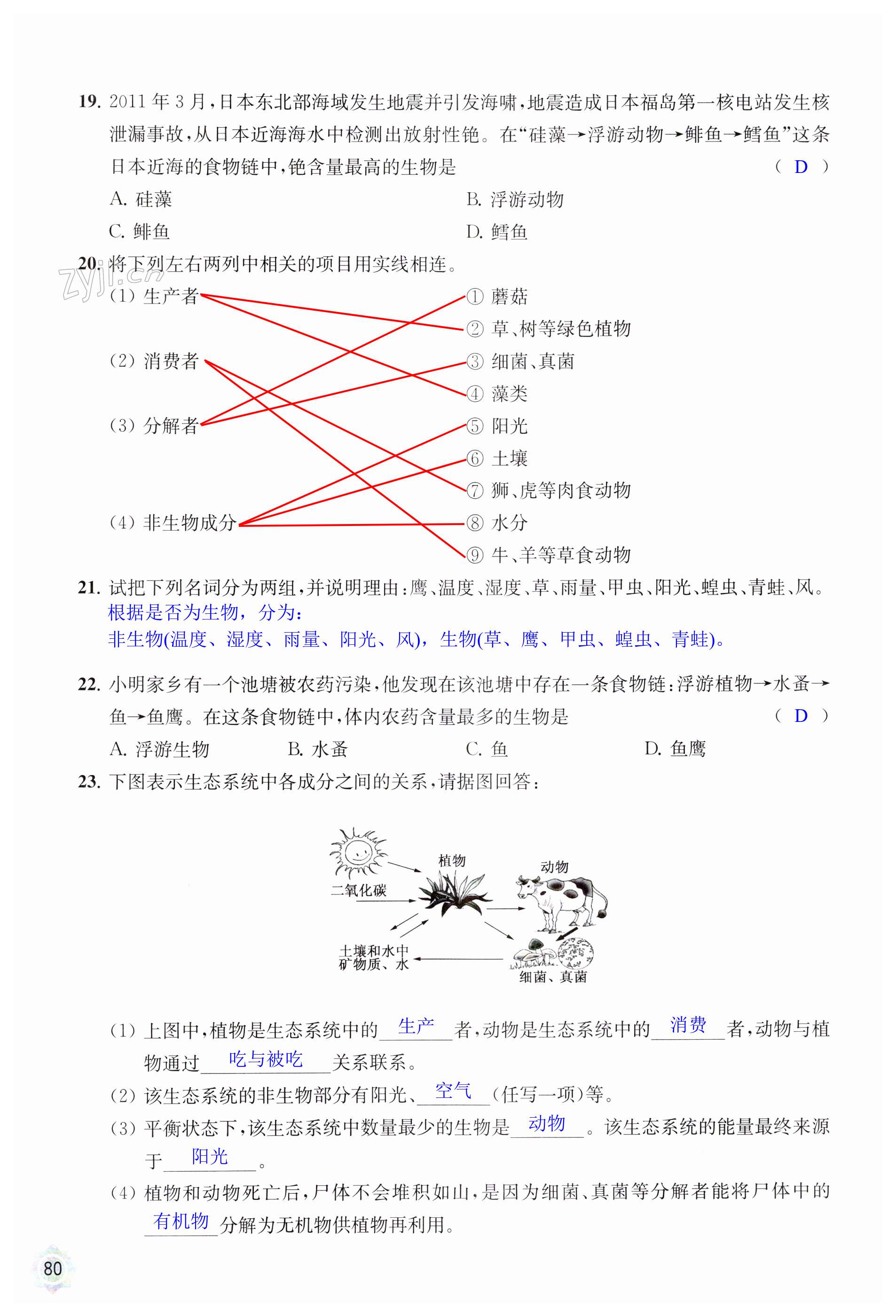 第80頁