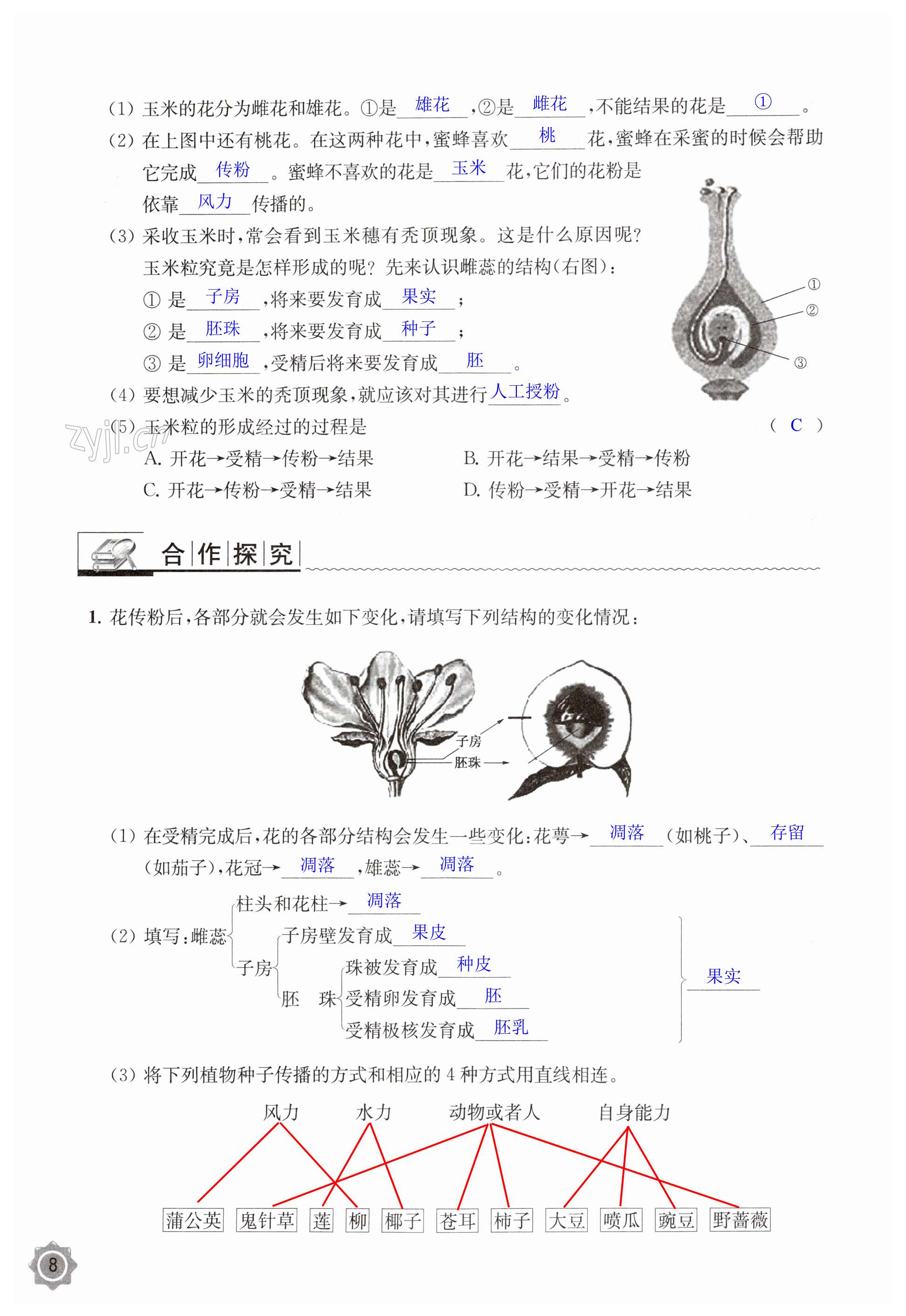 第8页
