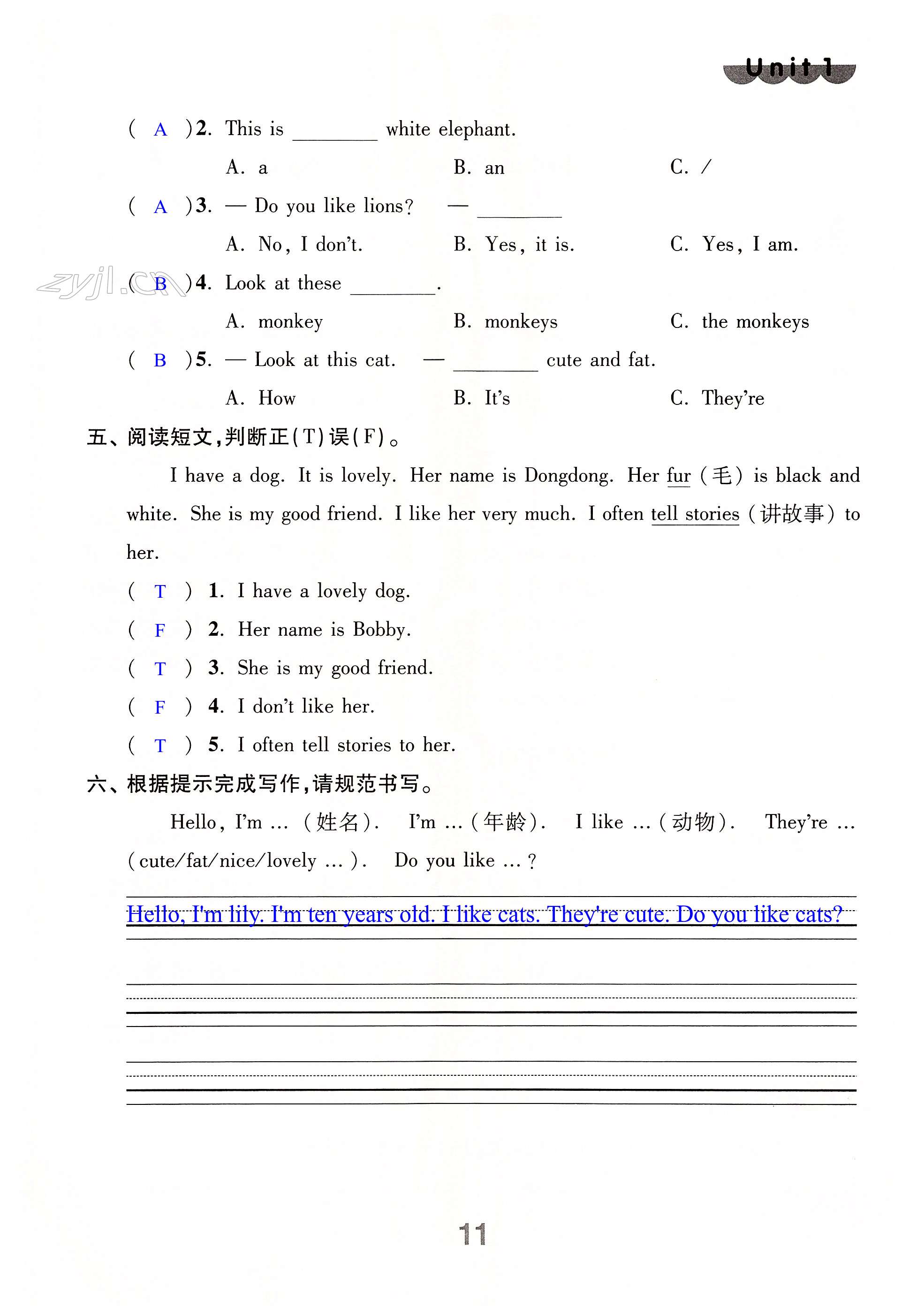 第11页
