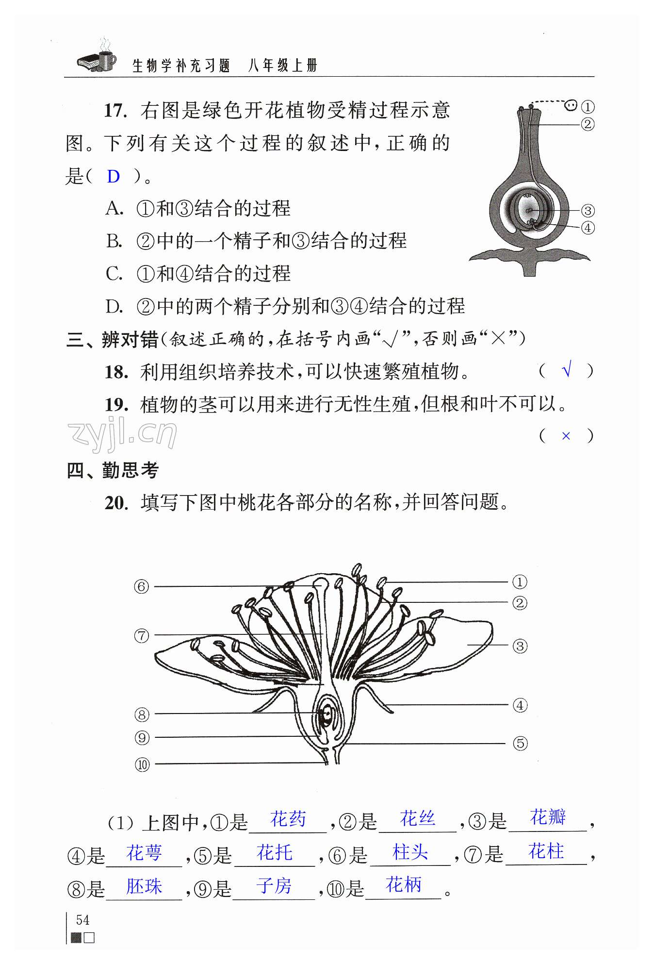 第54頁