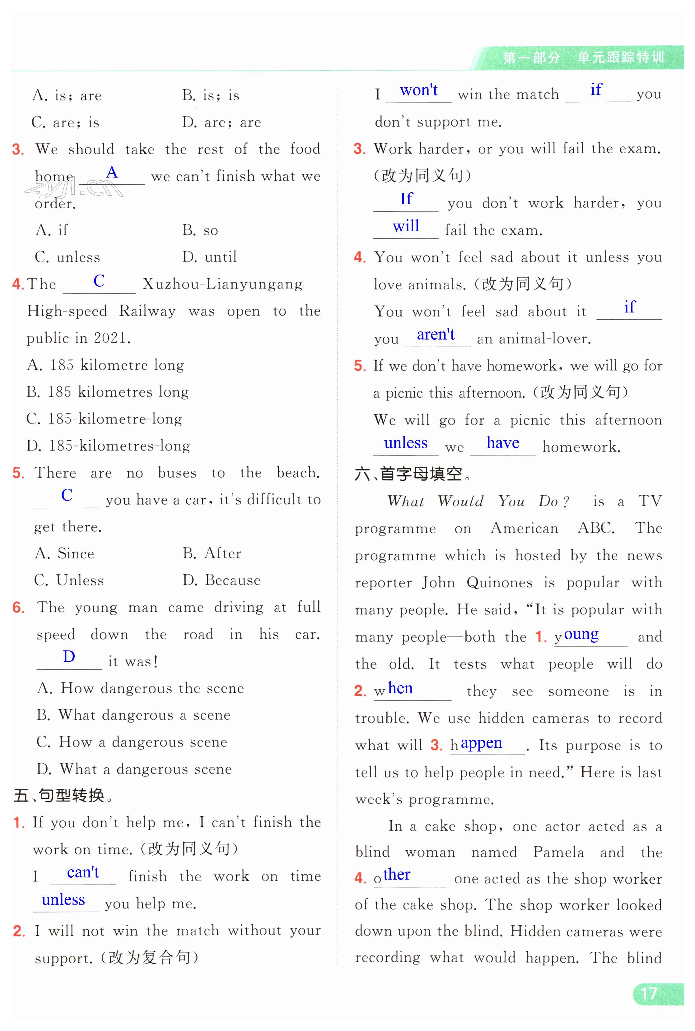 第17页