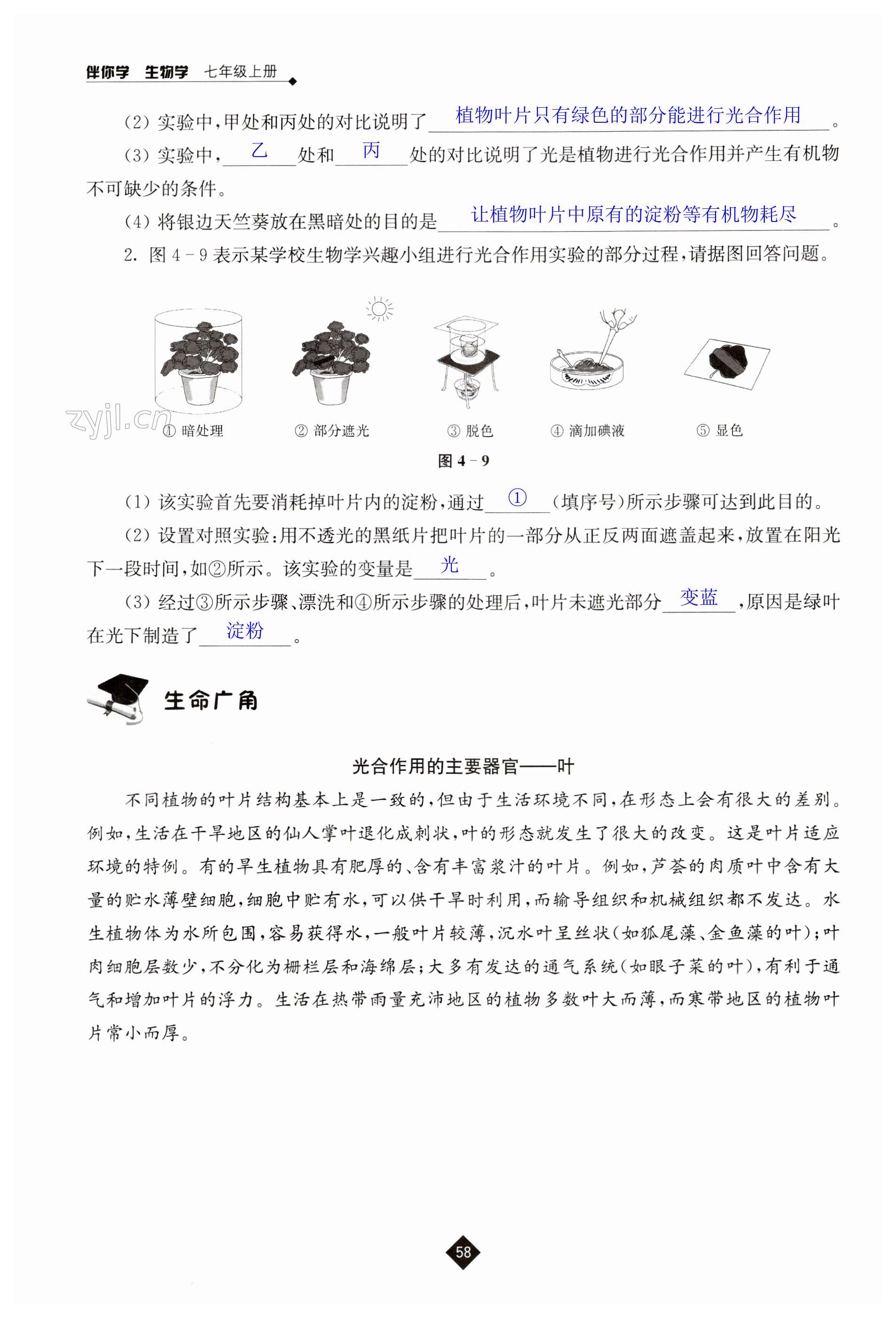 第58页