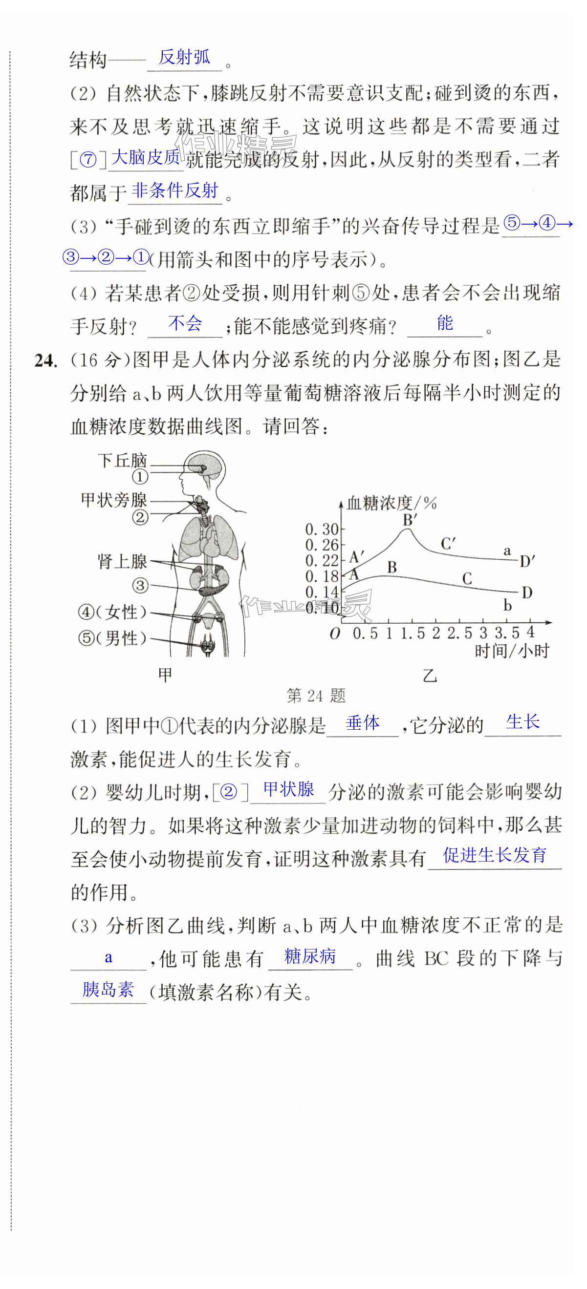 第12頁(yè)