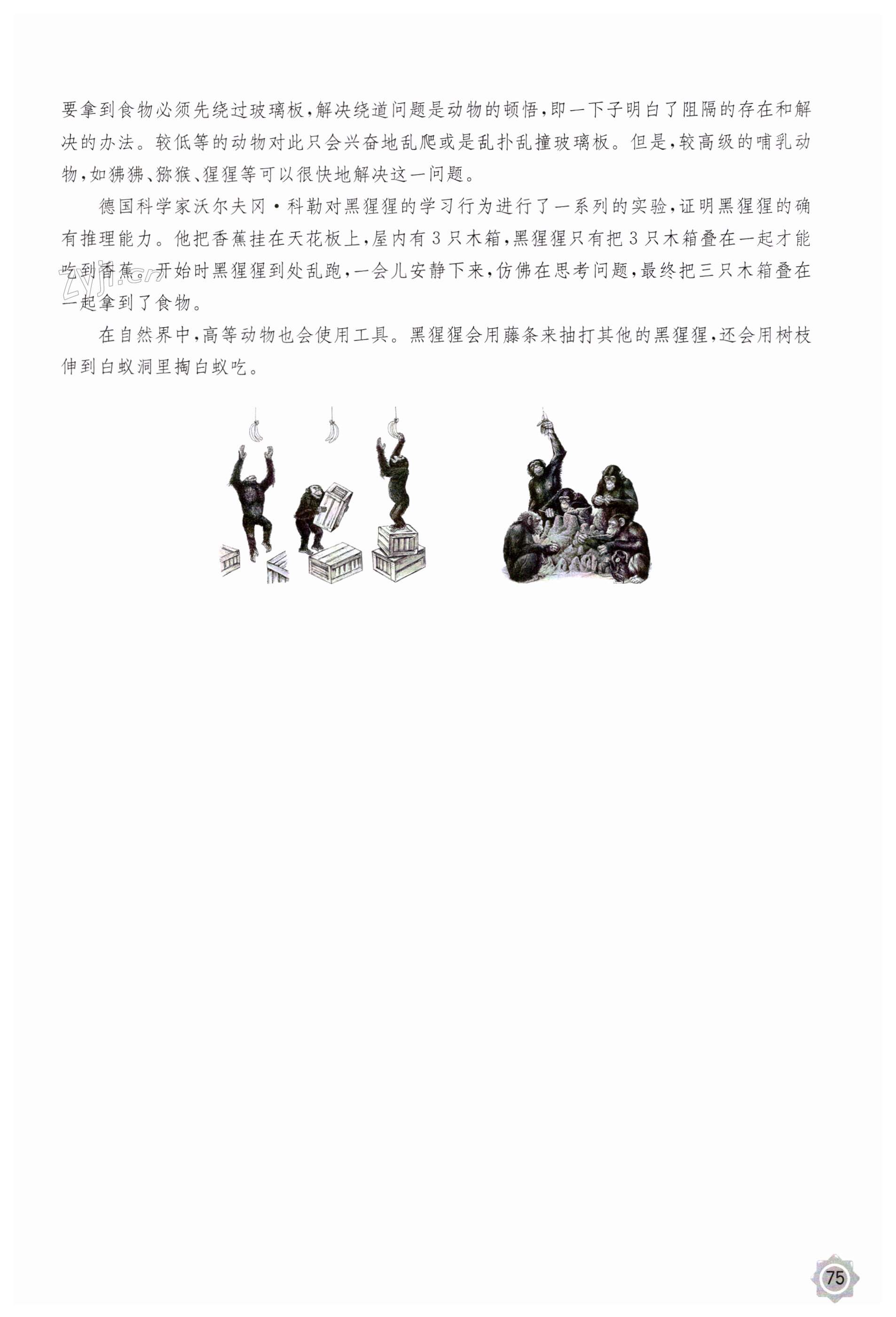 第75页