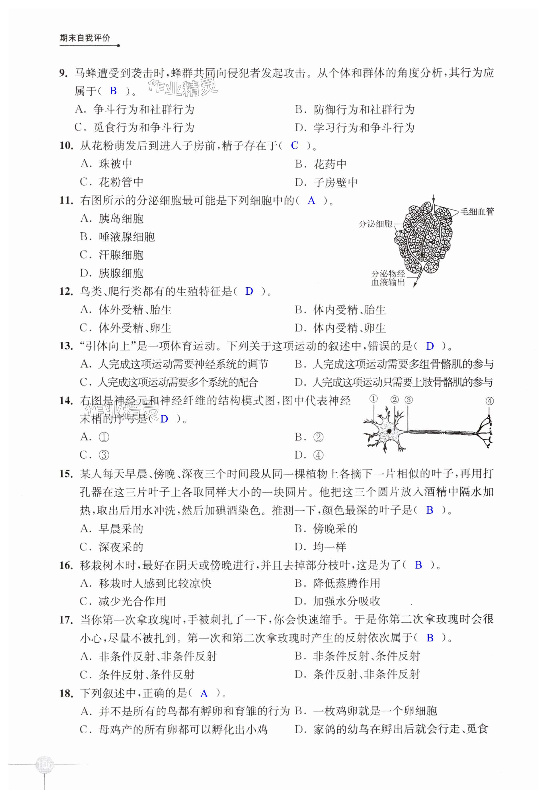 第106頁(yè)