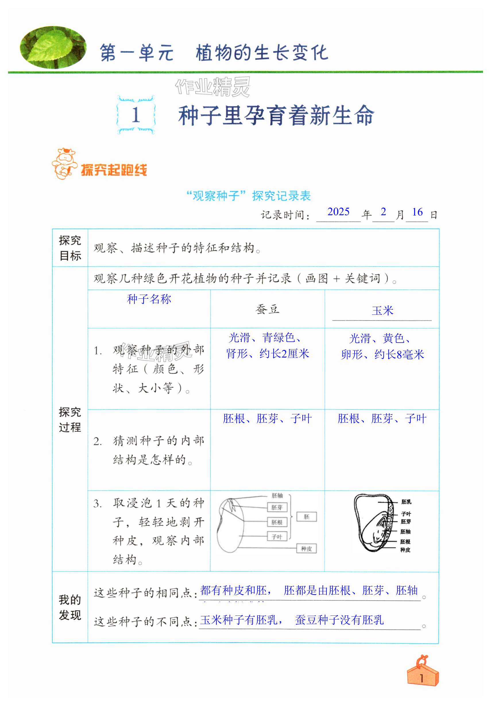 2025年知識與能力訓練四年級科學下冊教科版 第1頁