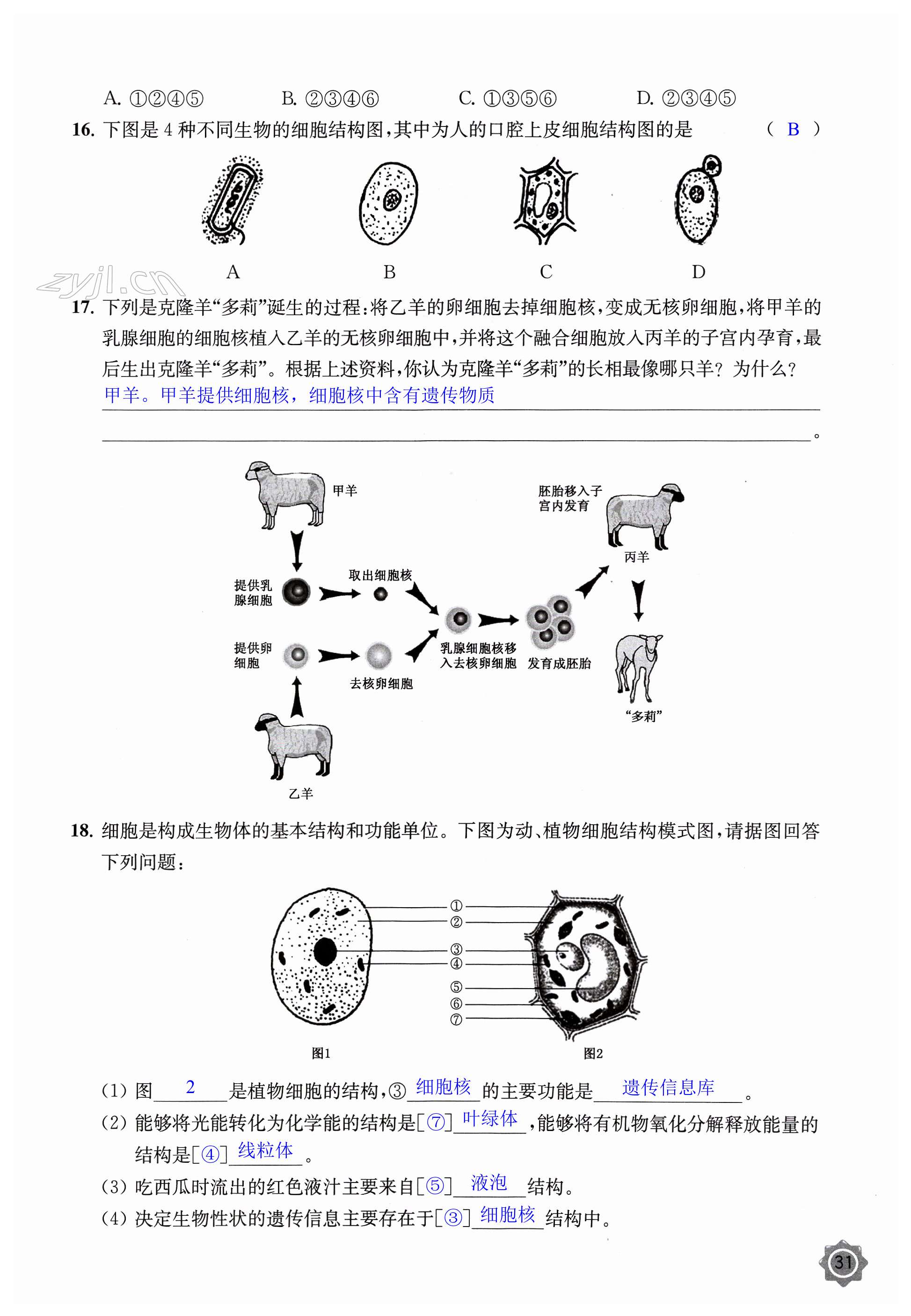 第31页