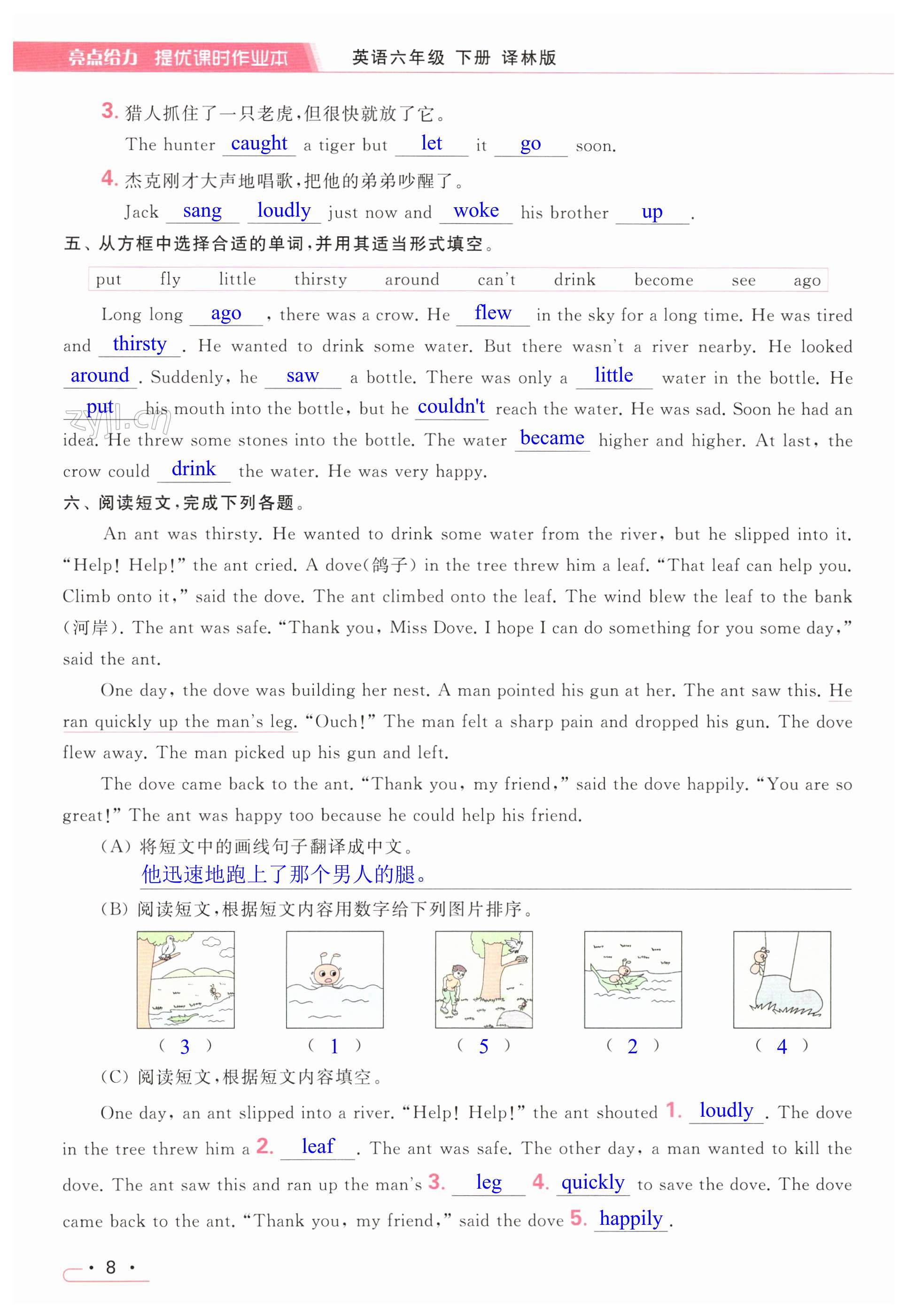 第8页