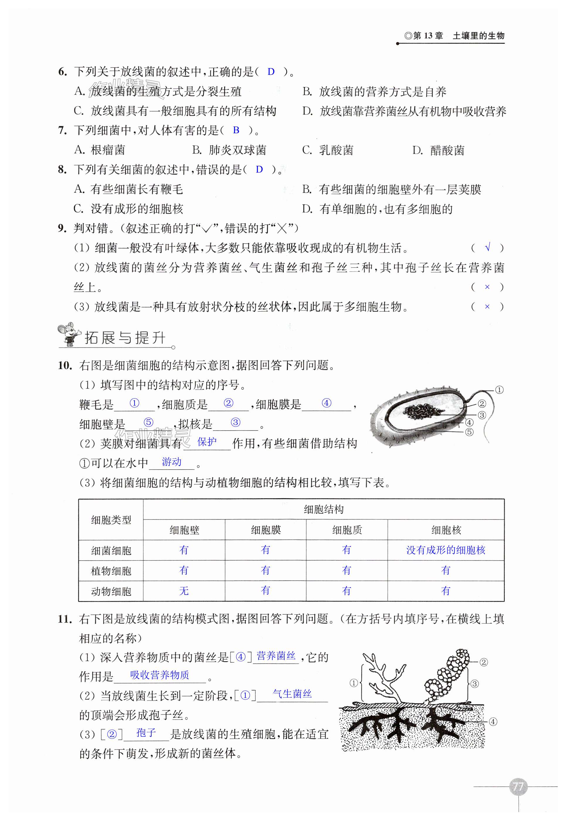 第77页