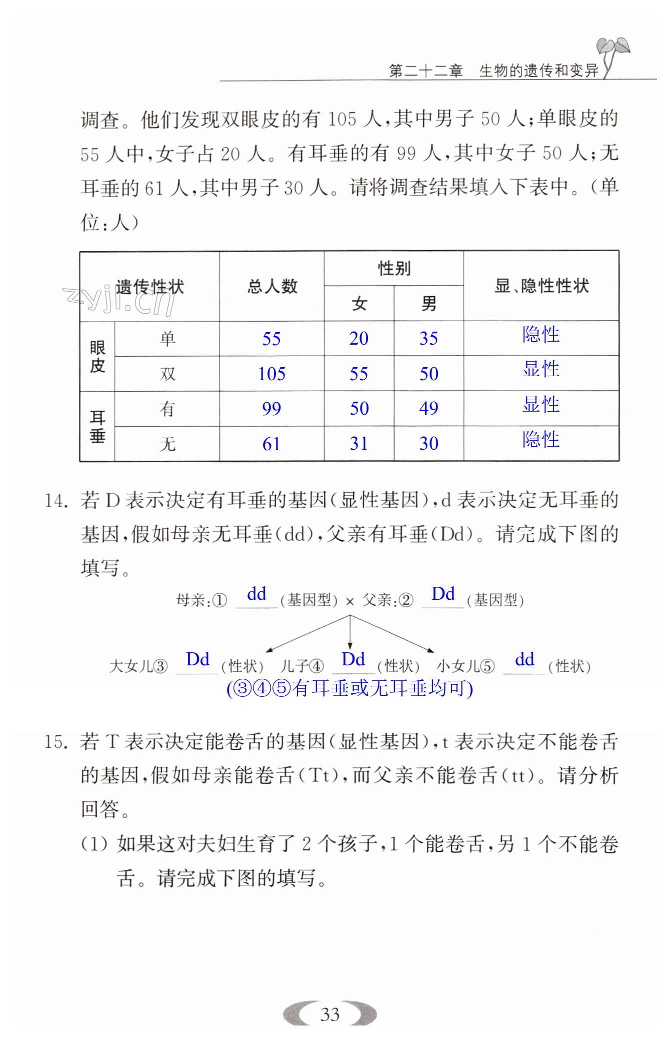 第33頁