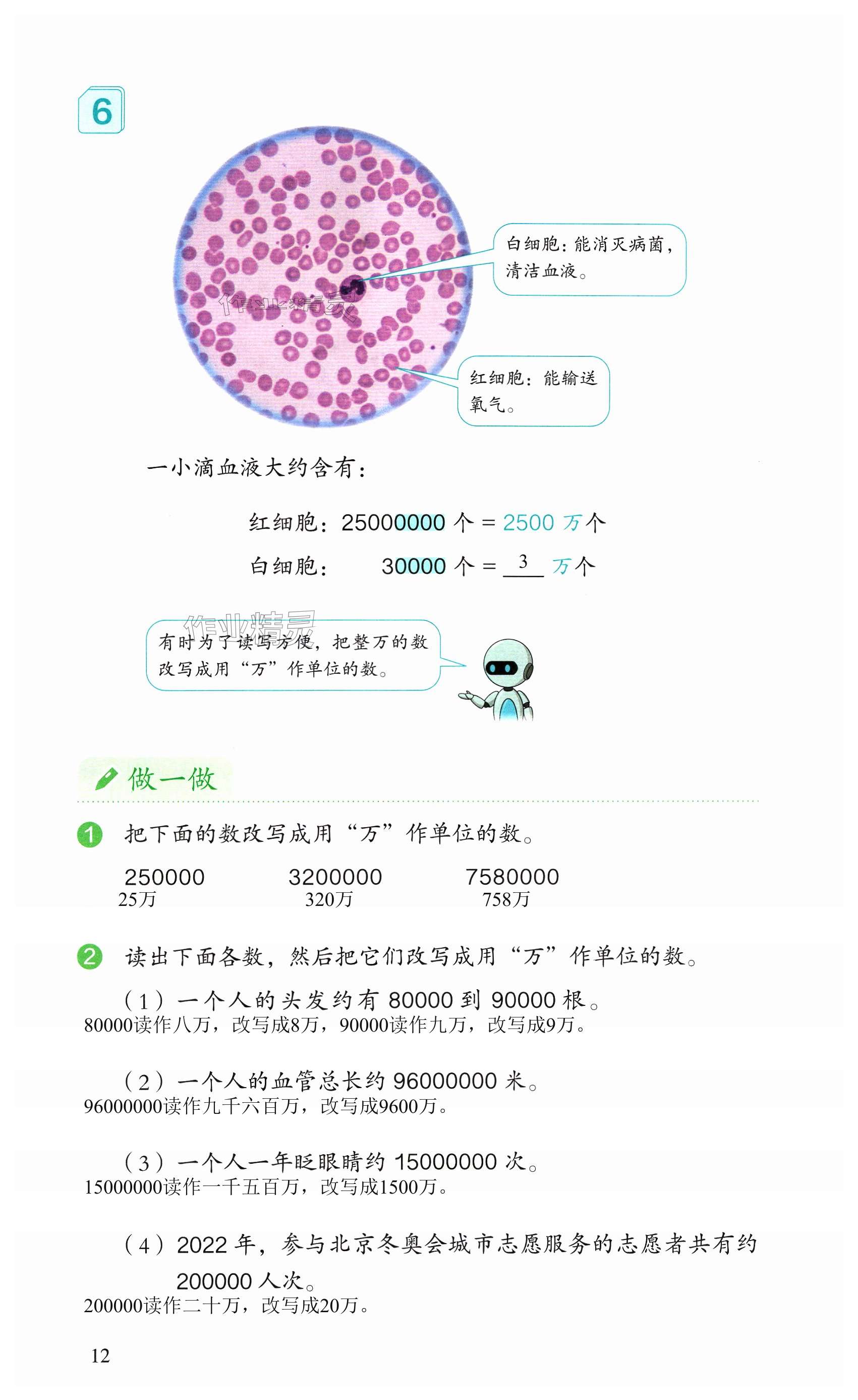 第12頁(yè)