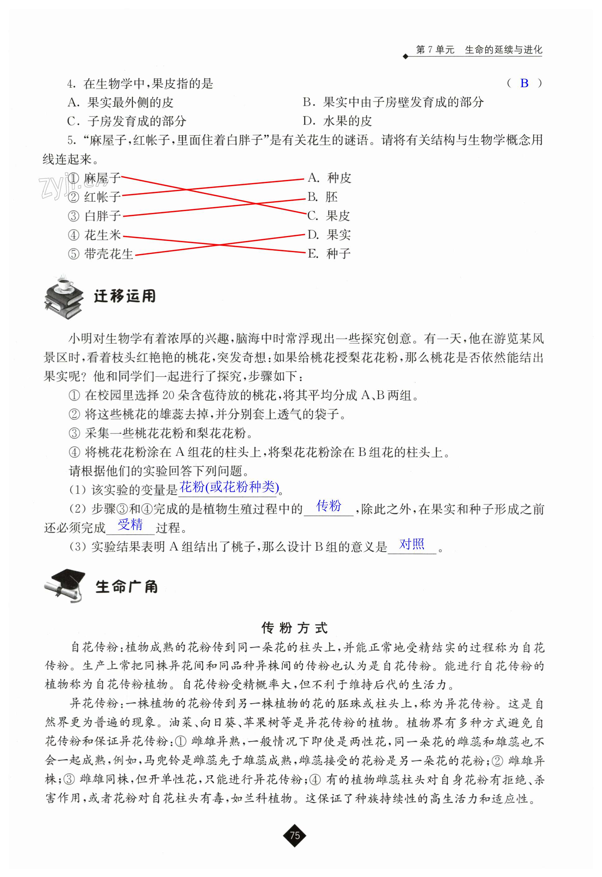 第75頁