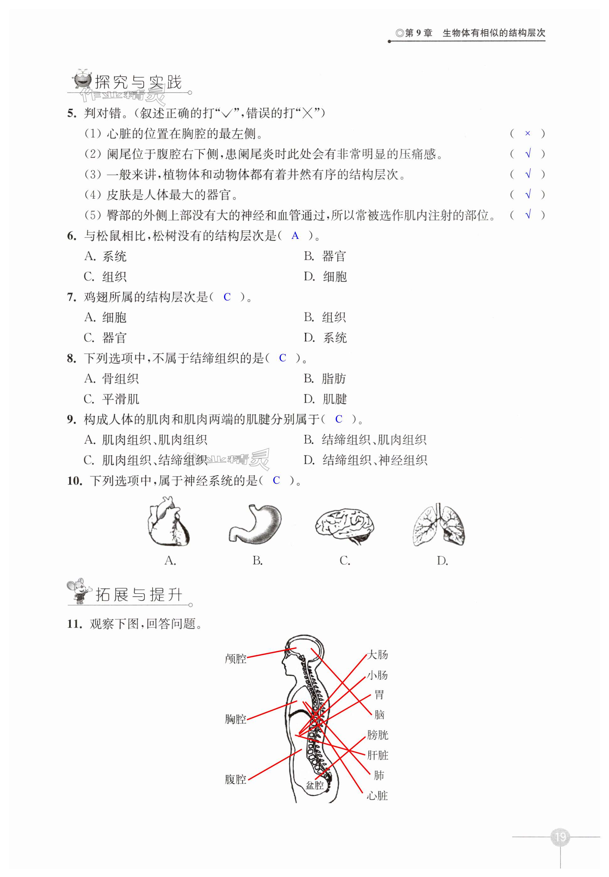 第19頁