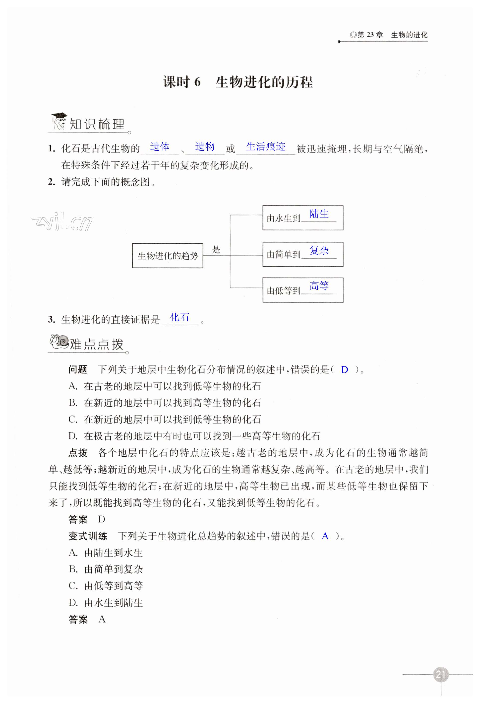 第21頁(yè)