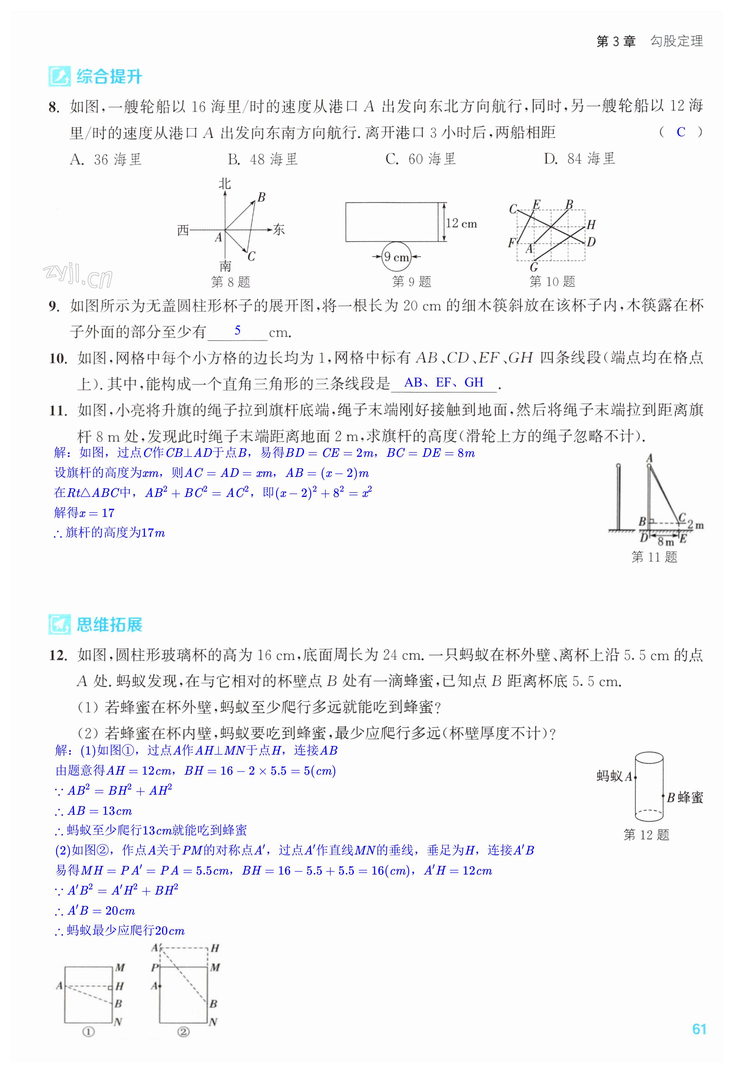 第61页