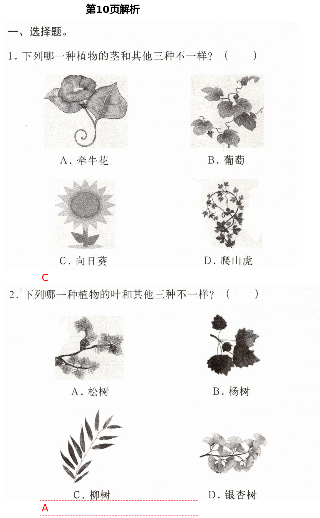 2021年新思維伴你學(xué)四年級科學(xué)下冊教科版 第10頁