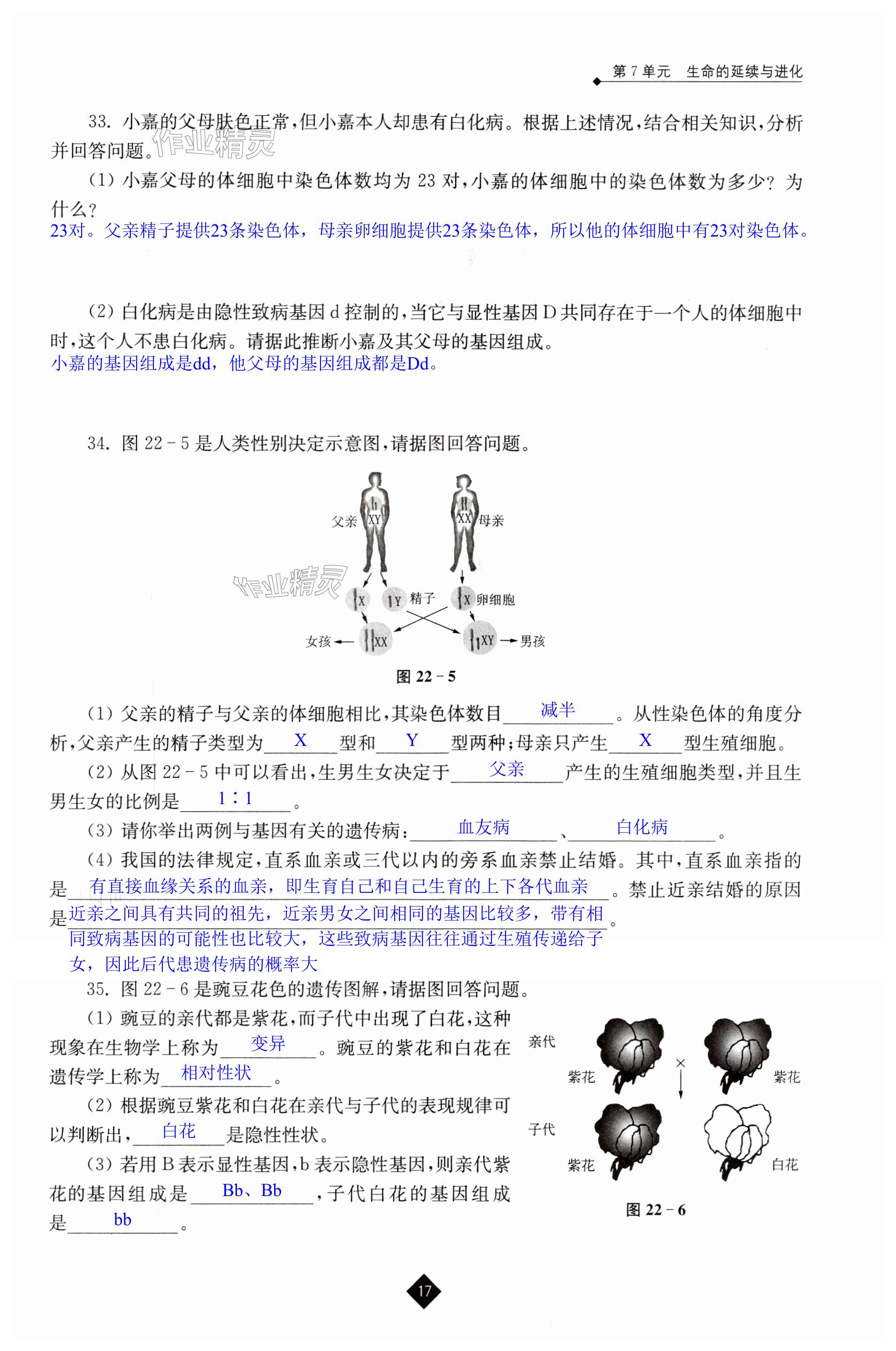 第17頁