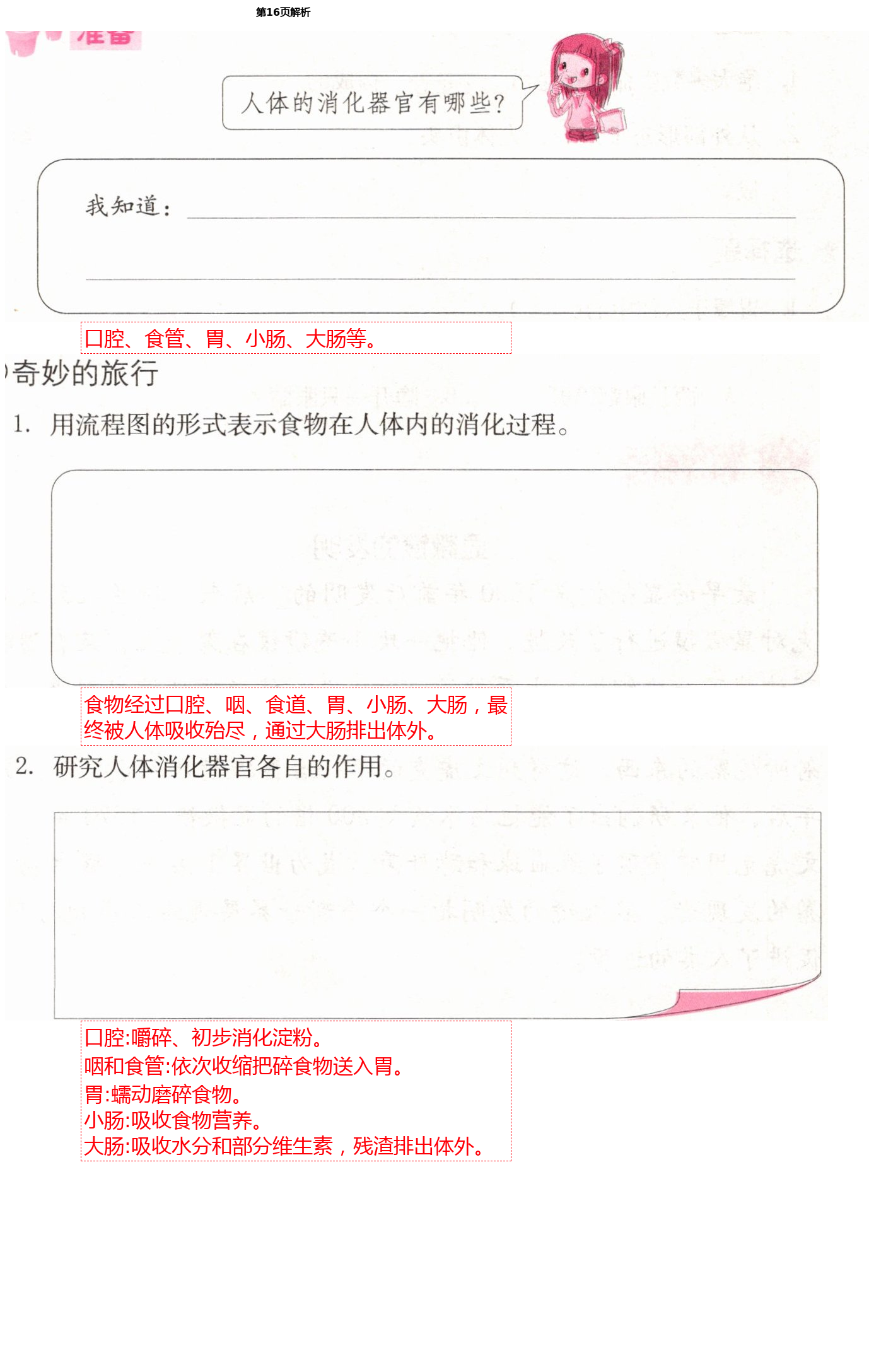 2021年科學學習與鞏固六年級下冊冀人版 第16頁