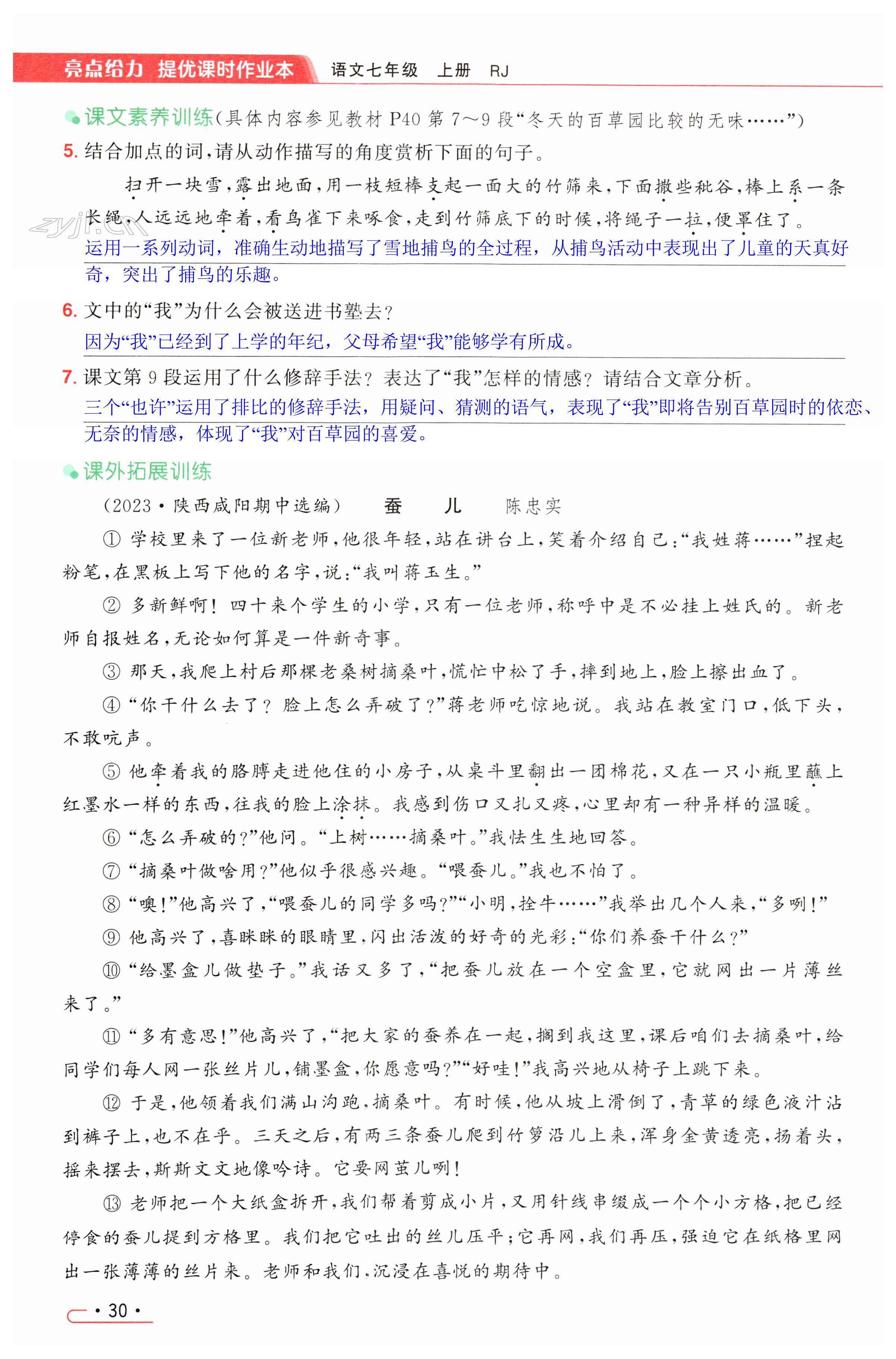 第30页