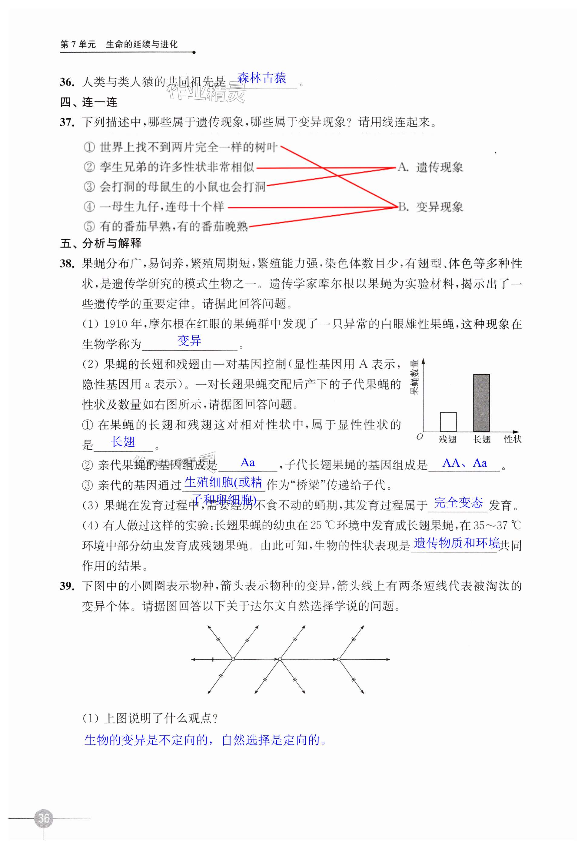 第36頁