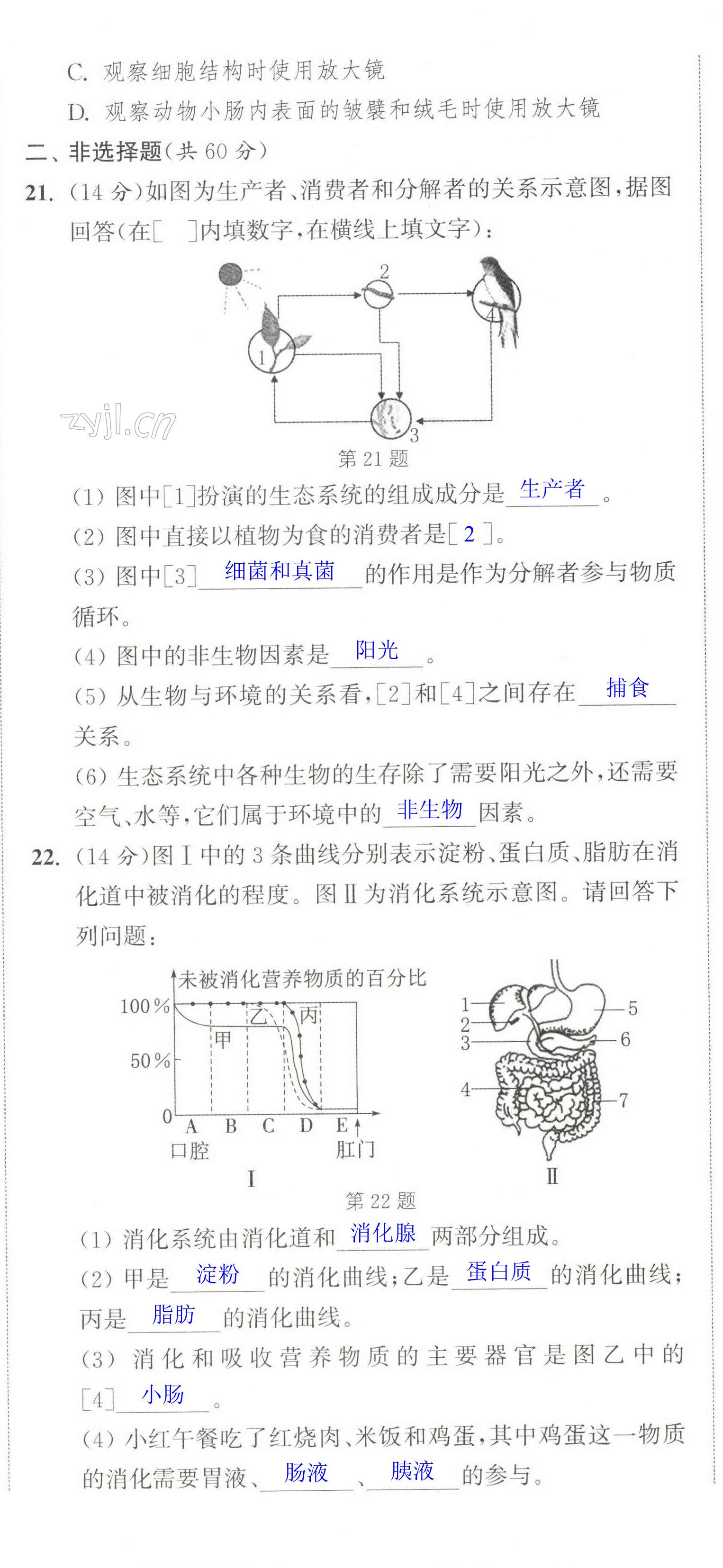 第35頁