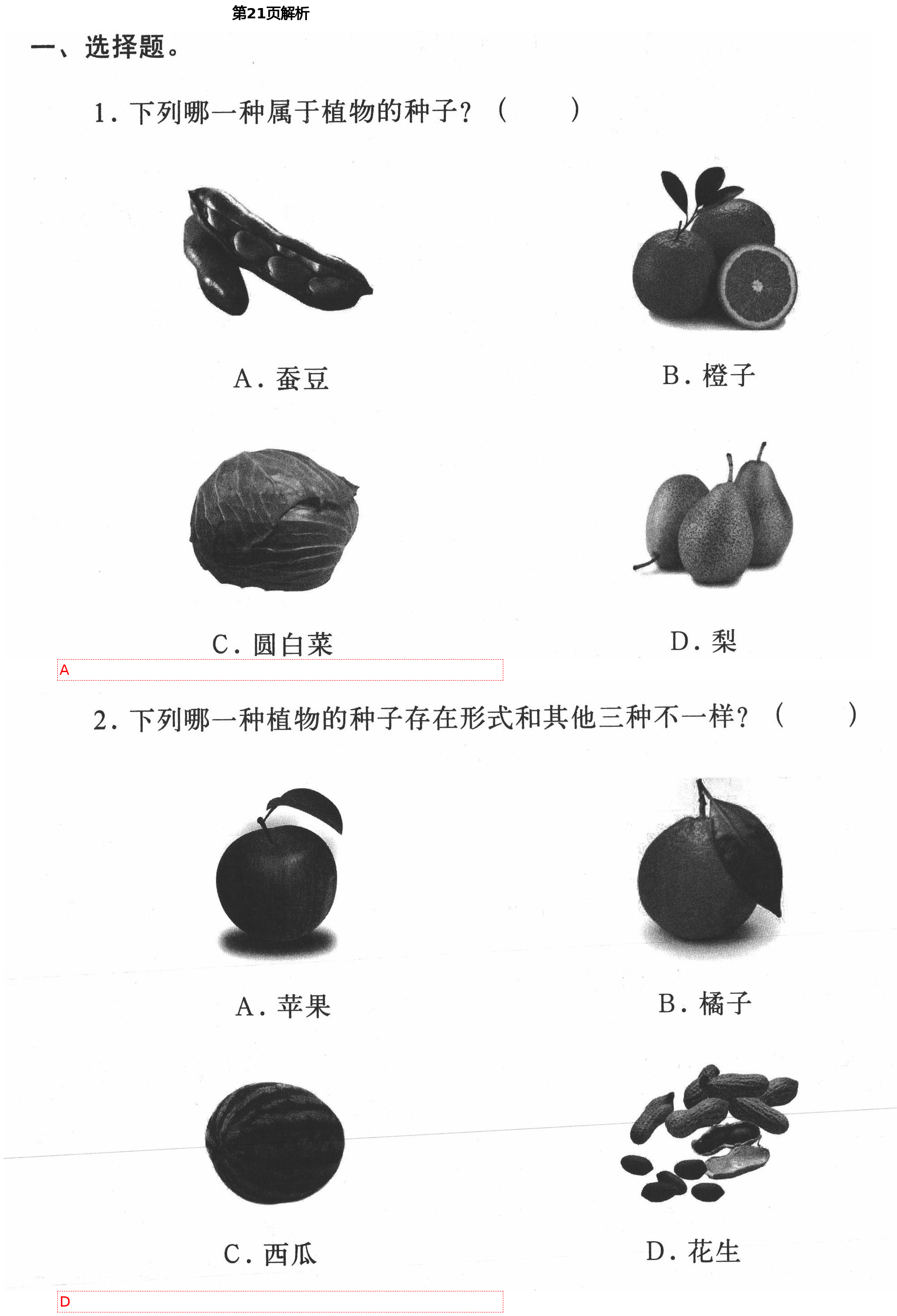 2021年新思维伴你学单元达标测试卷四年级科学下册教科版 第21页