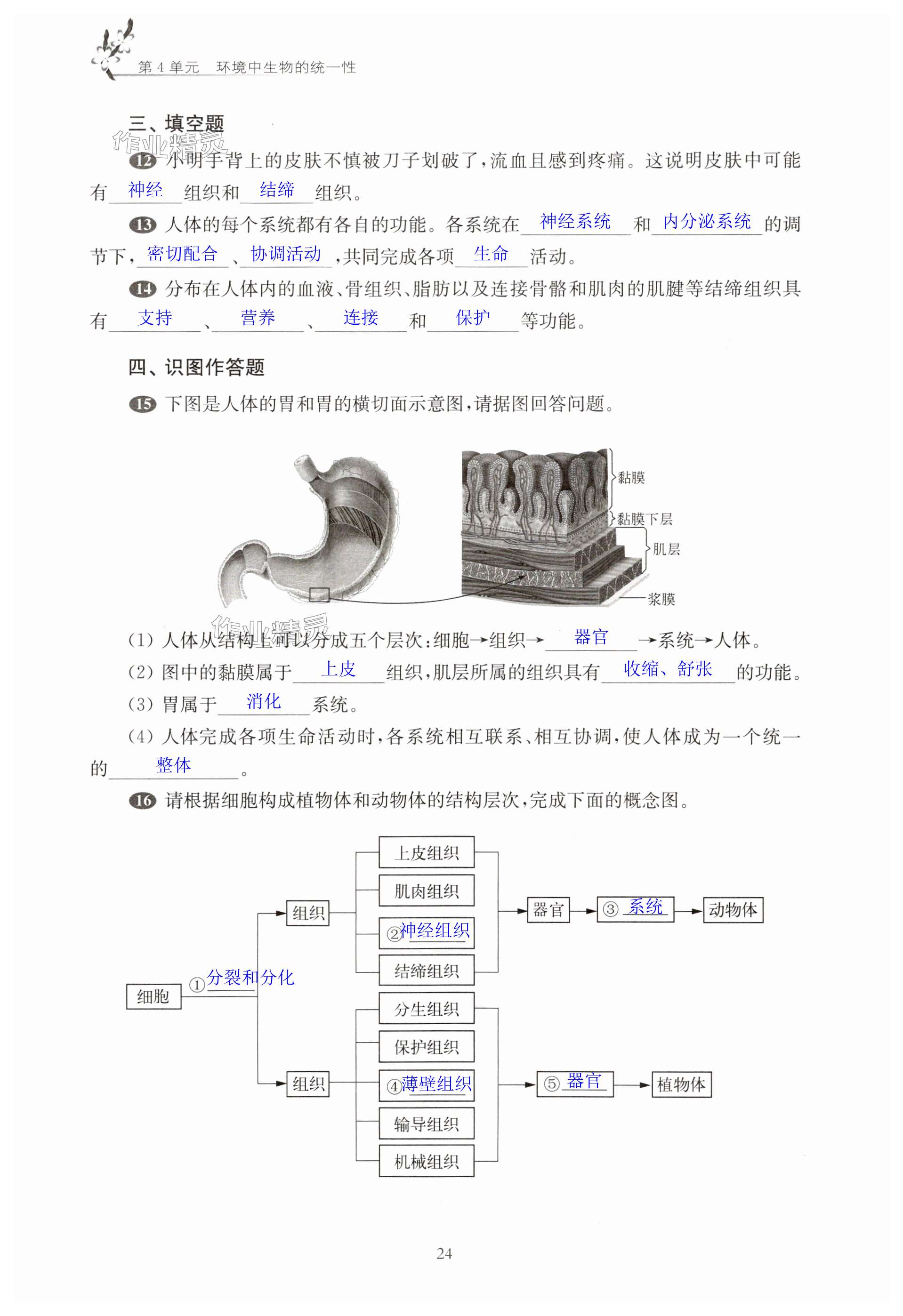 第24頁