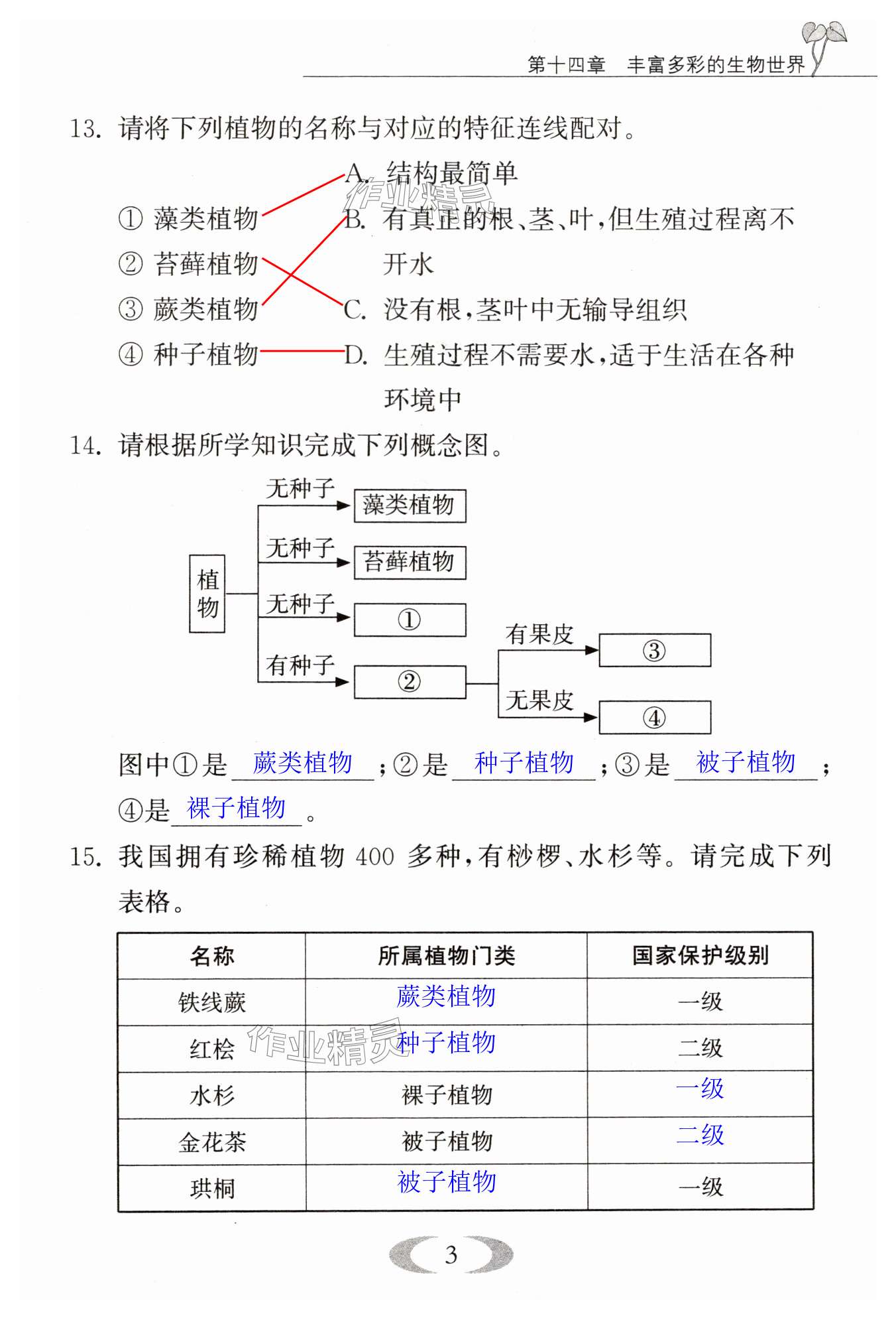 第3頁