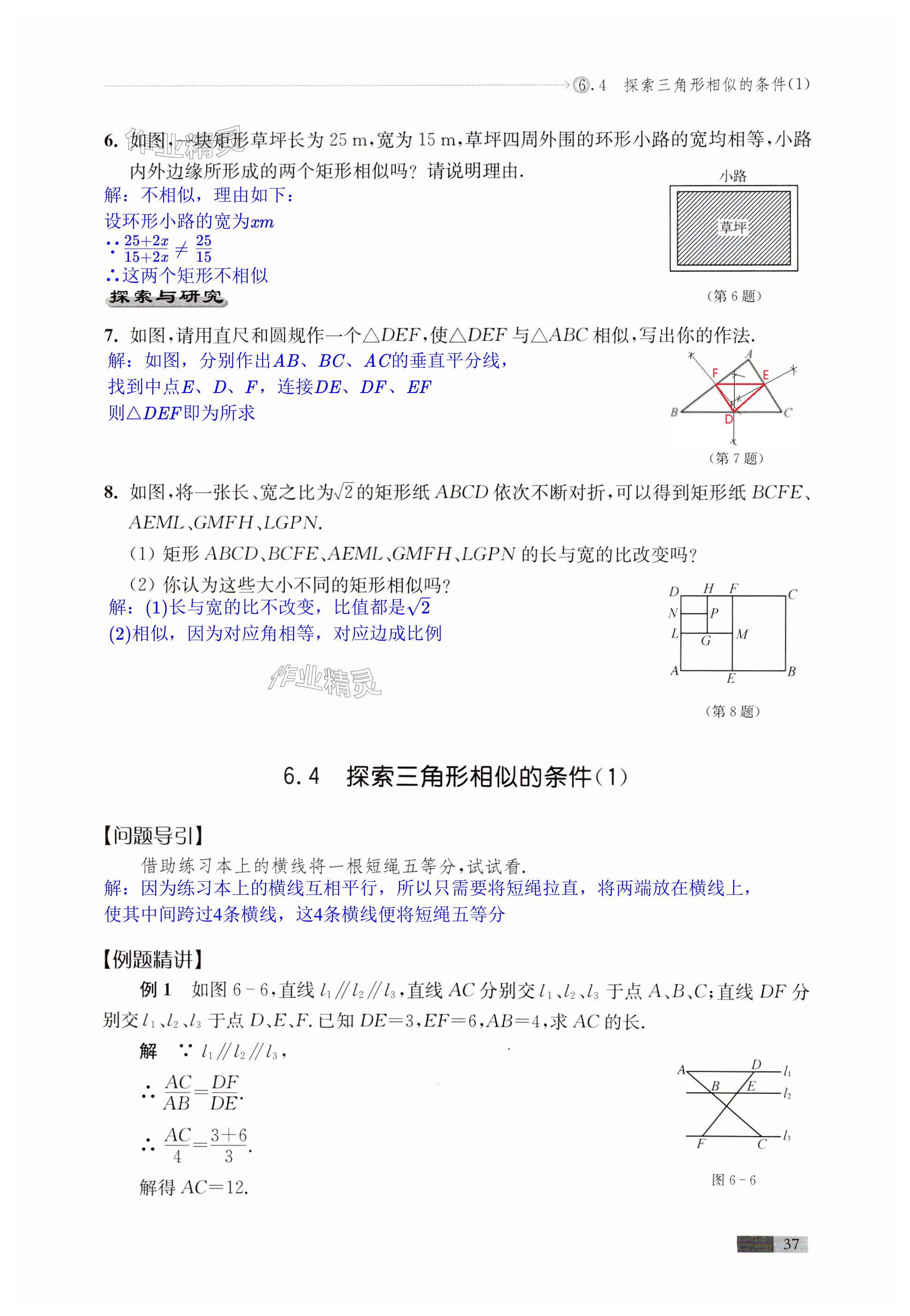 第37頁