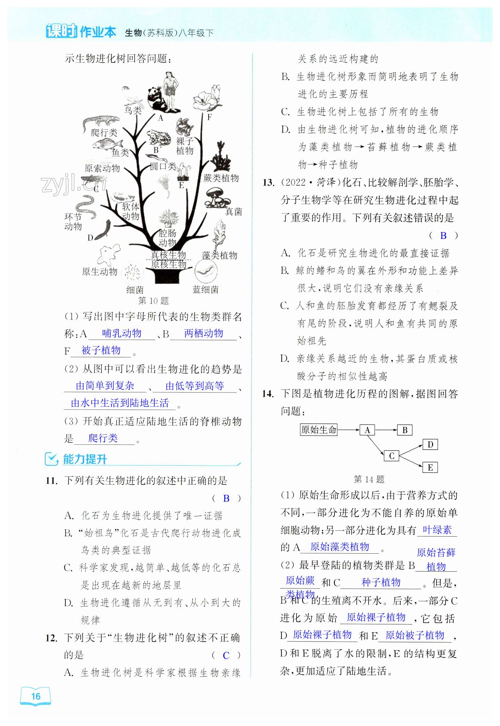 第16頁