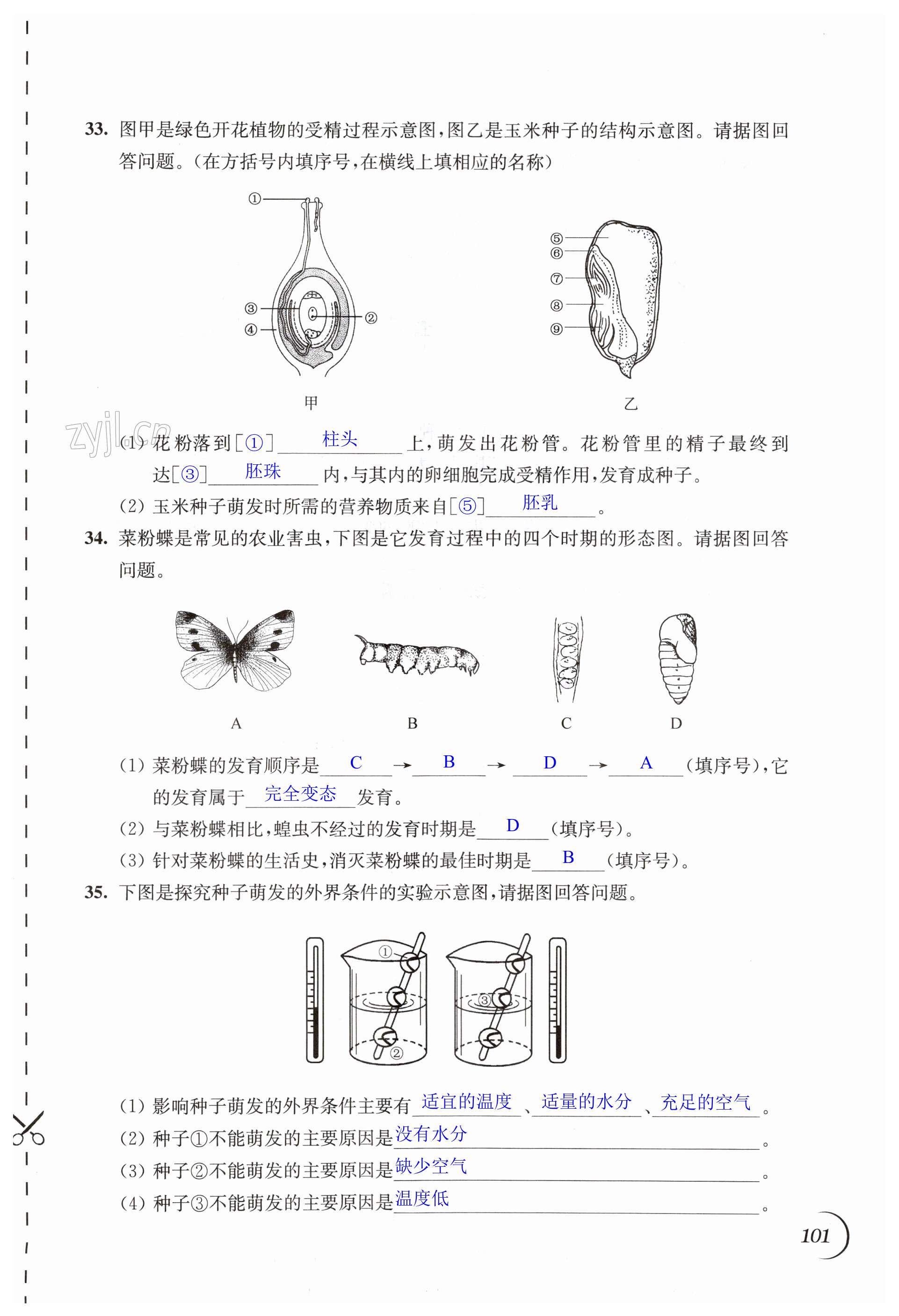 第101頁