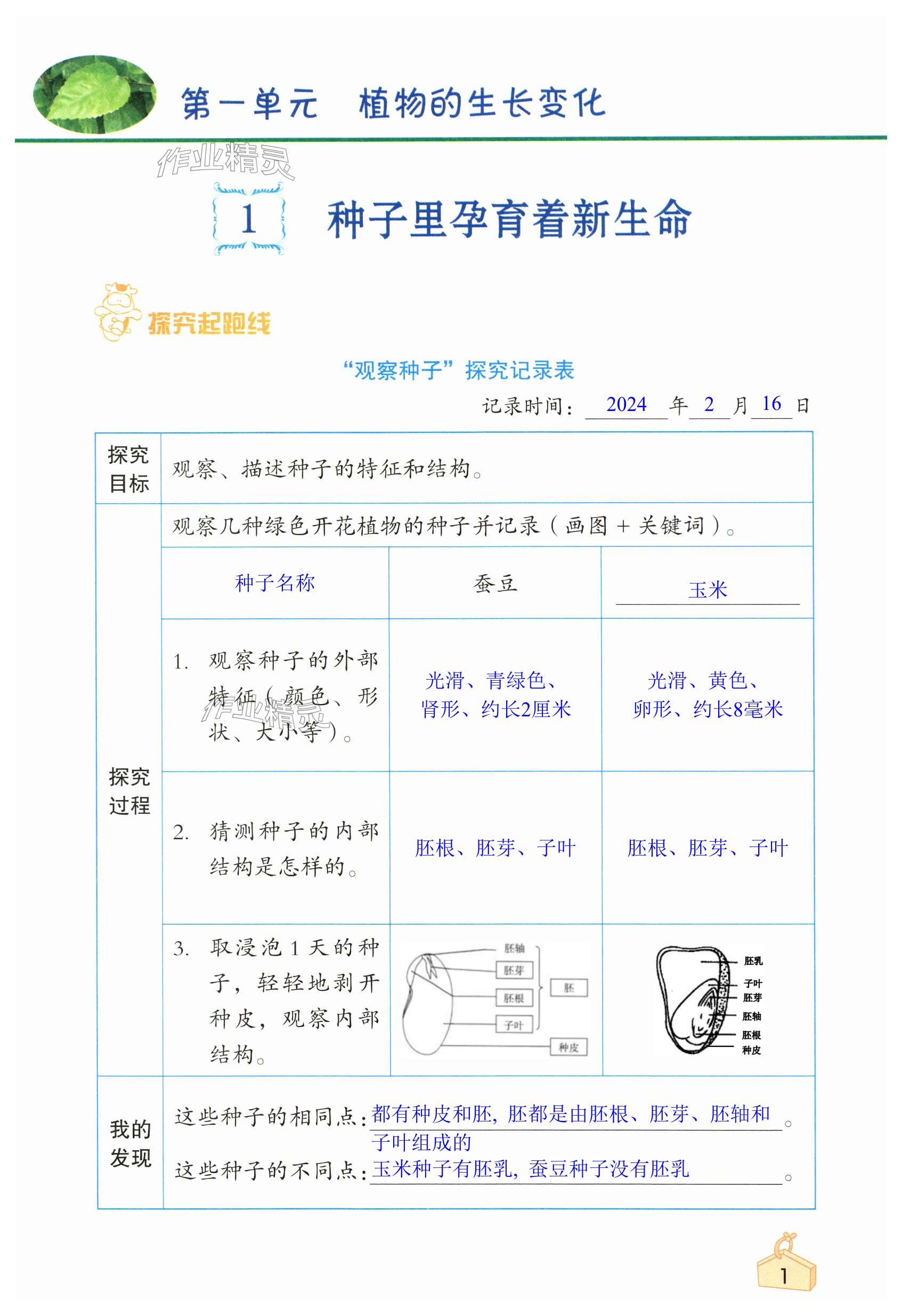 2024年知识与能力训练四年级科学下册教科版 第1页