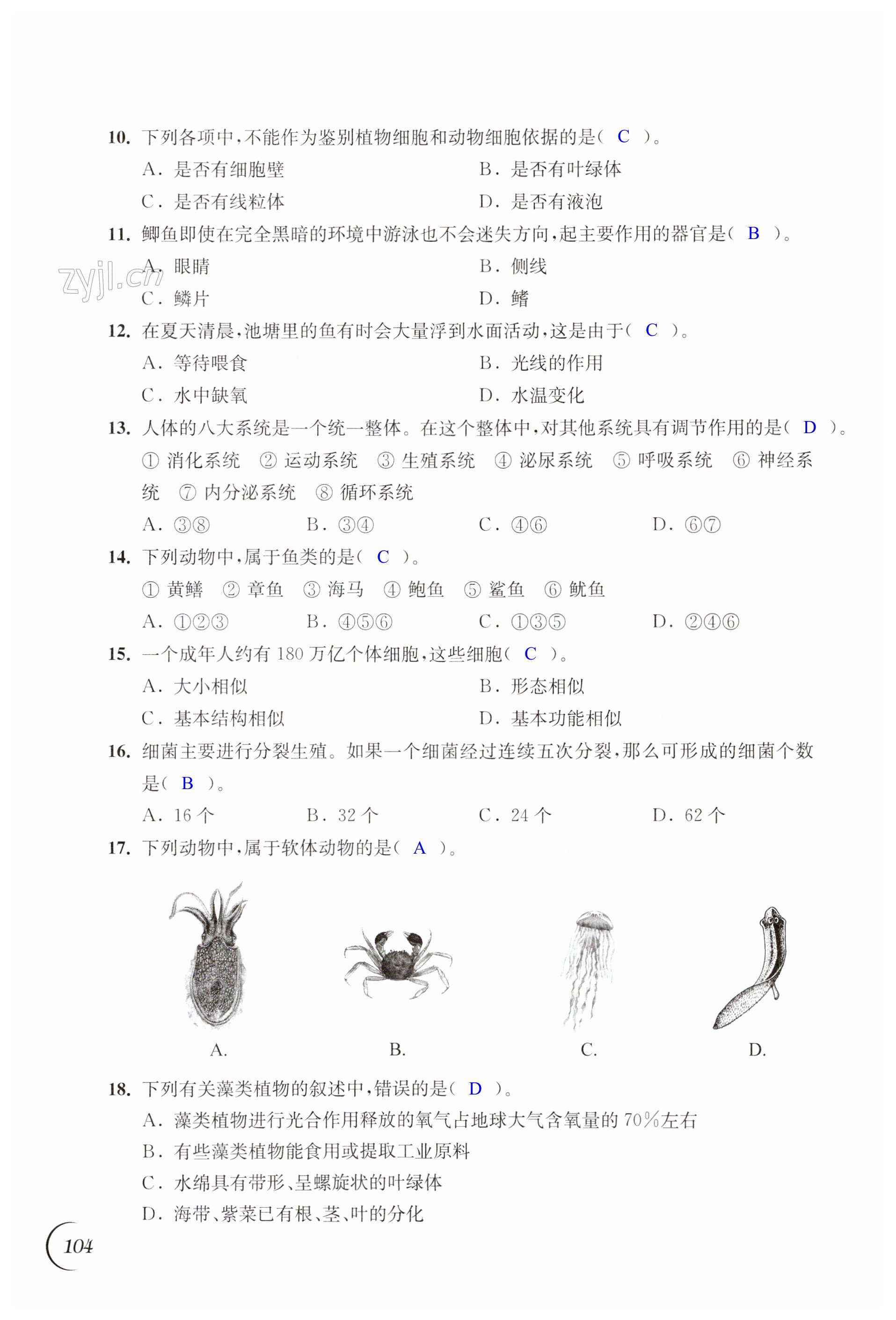 第104頁(yè)