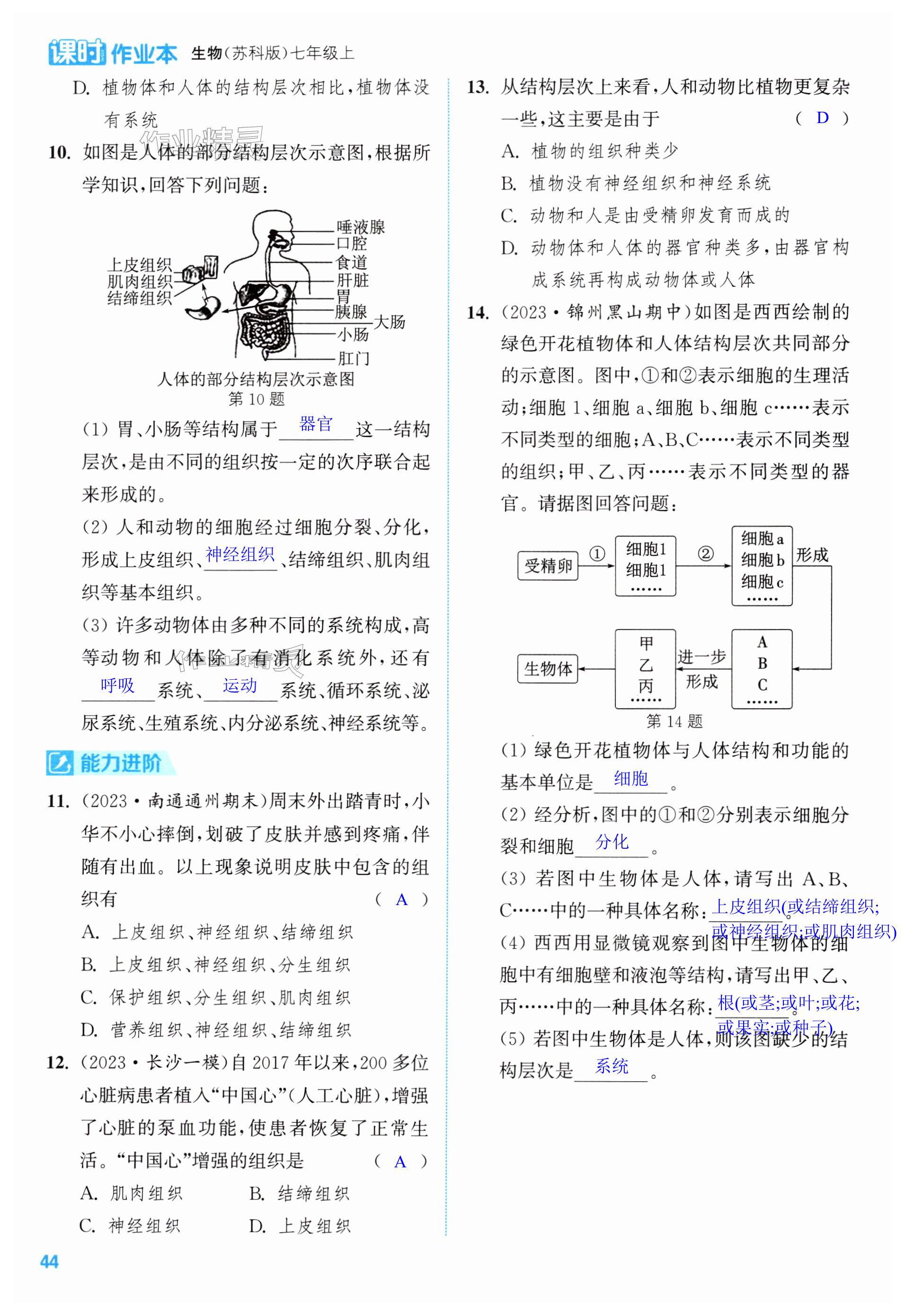 第44頁