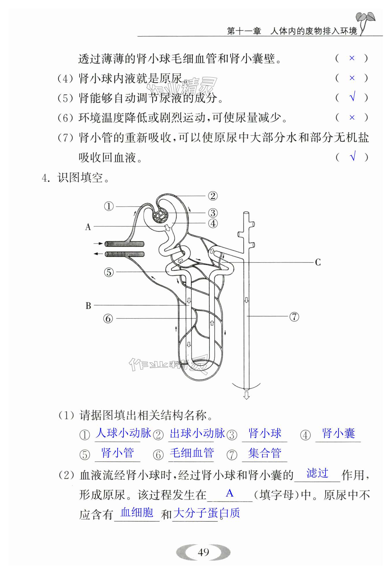 第49页