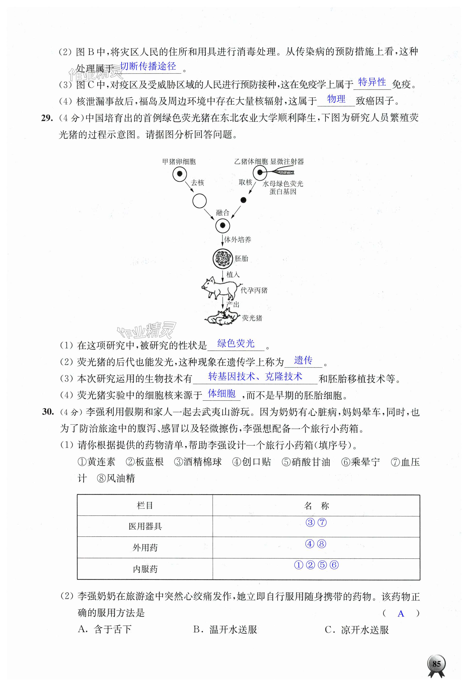 第85頁