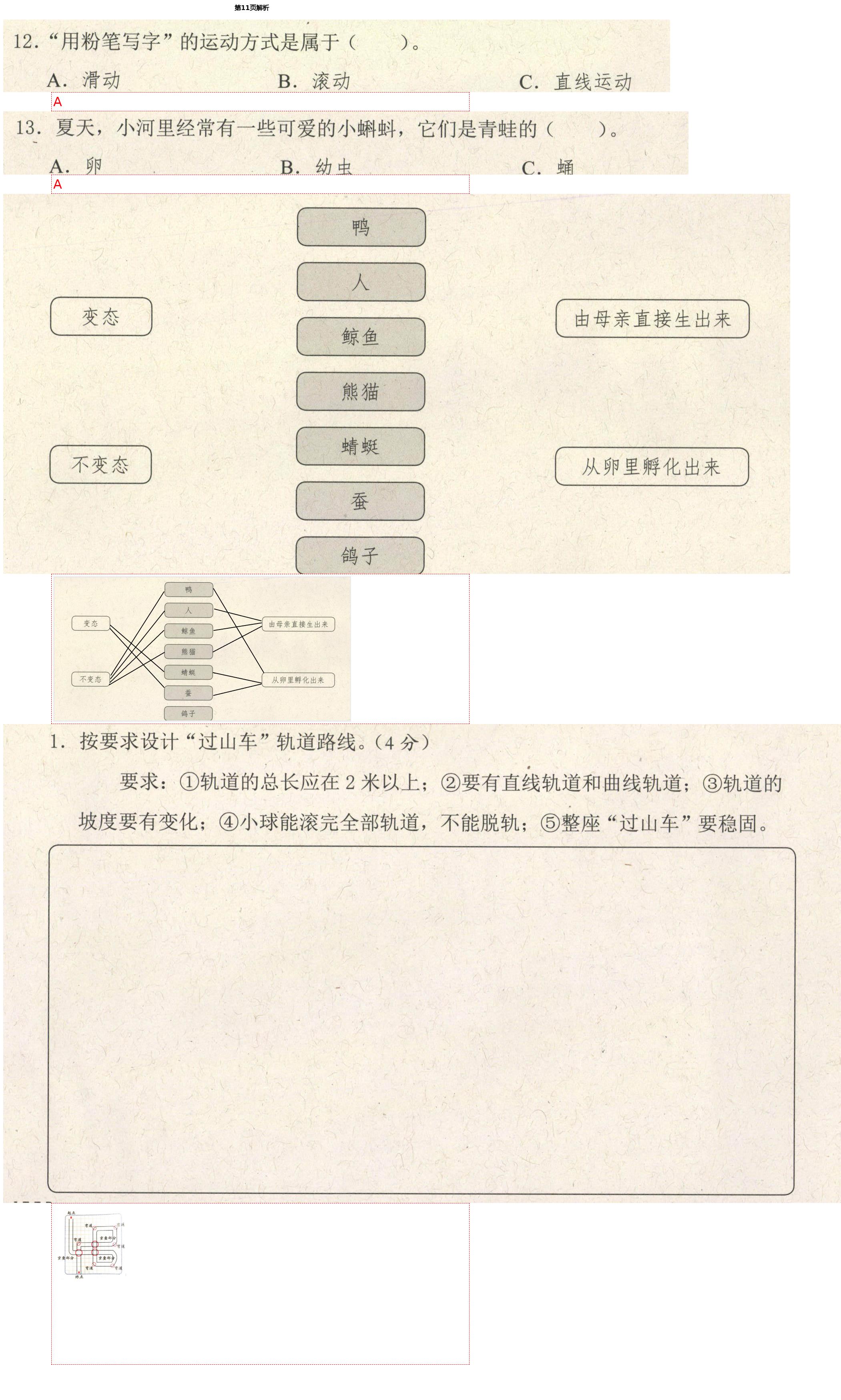 2021年学而晋三年级科学下册教科版&nbsp;第11页