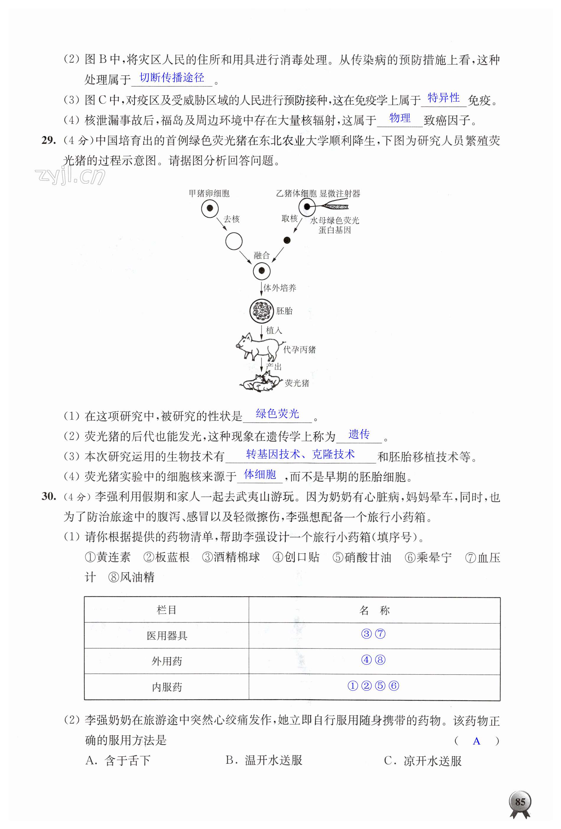 第85頁