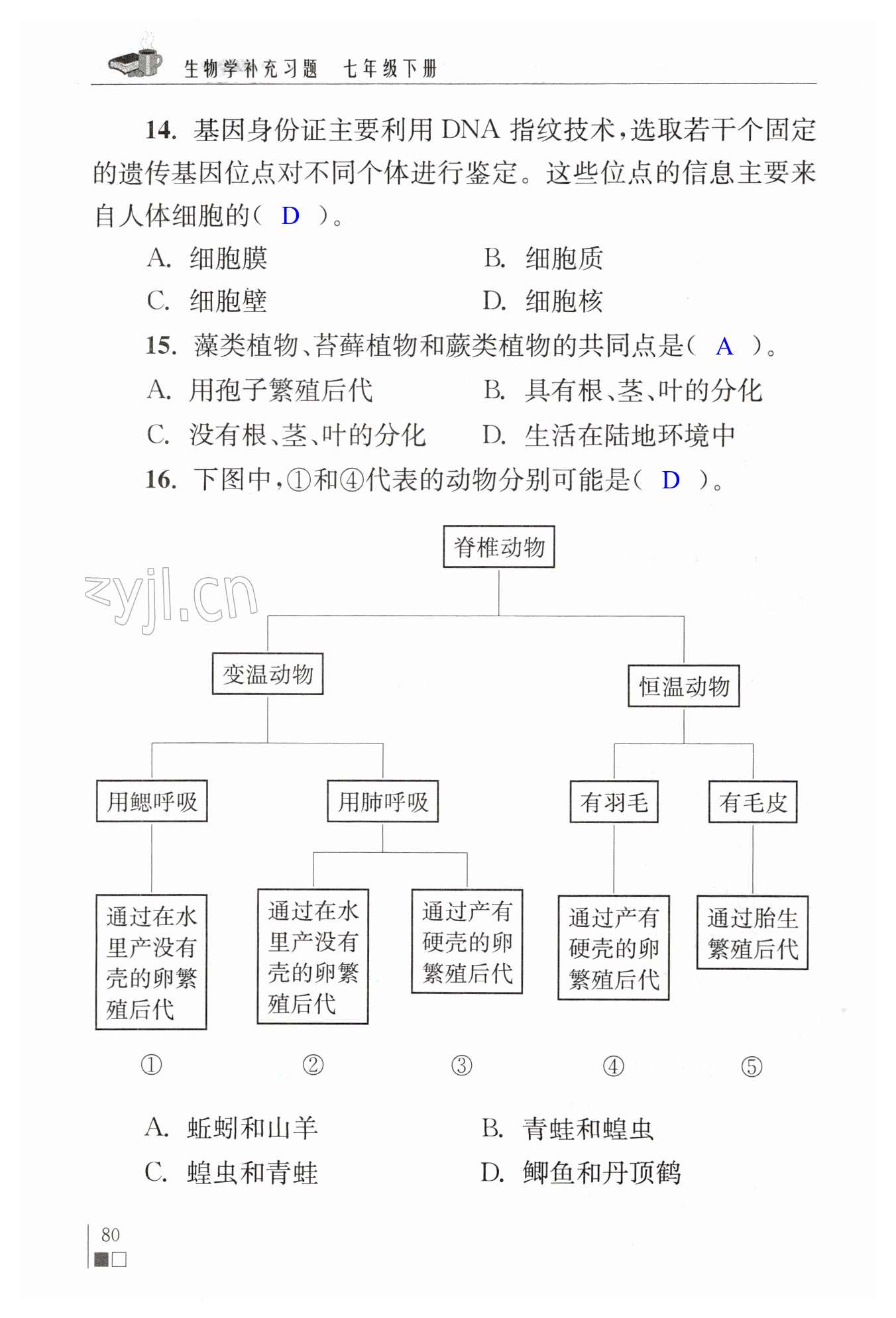 第80页