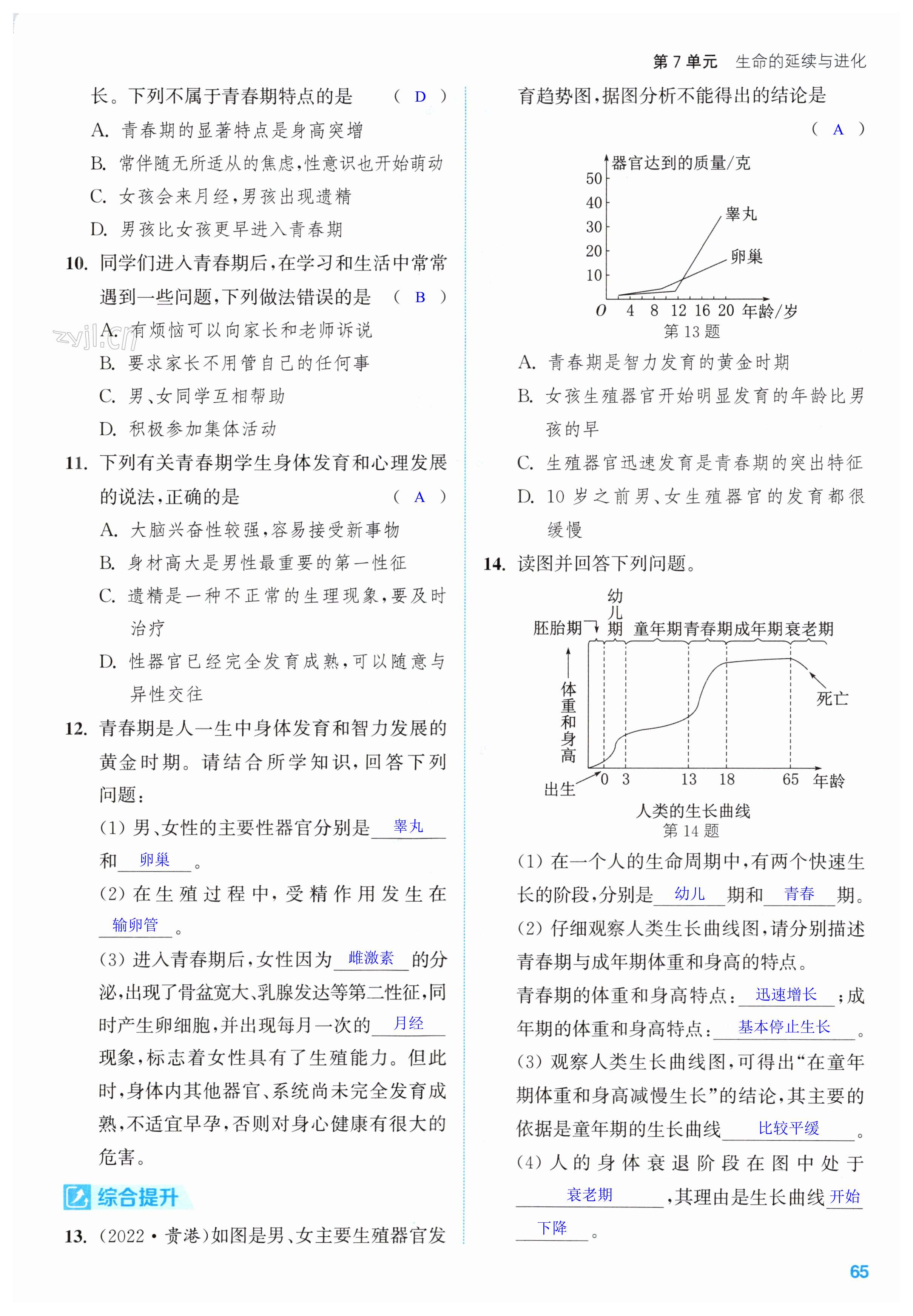 第65頁(yè)