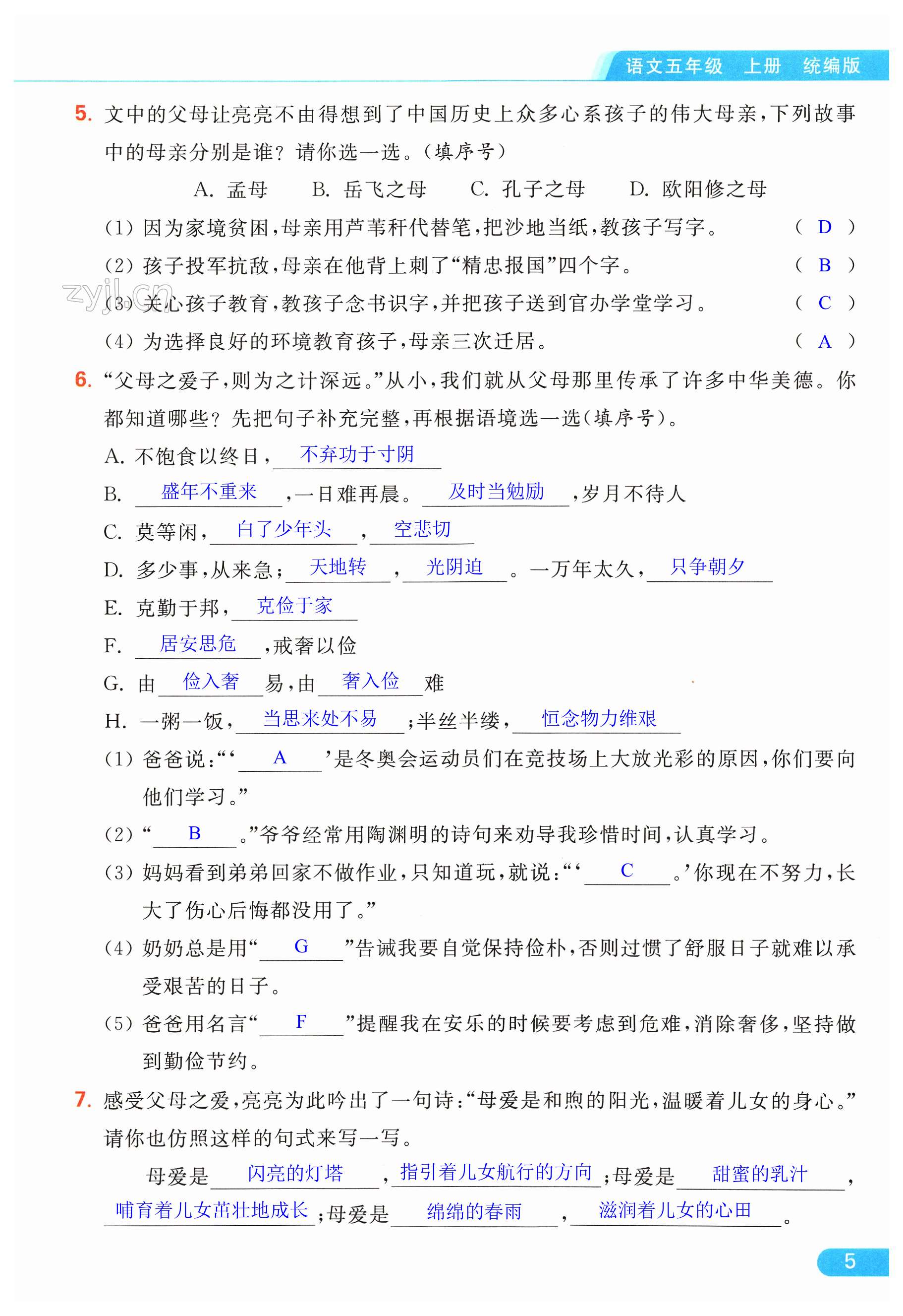 第5页