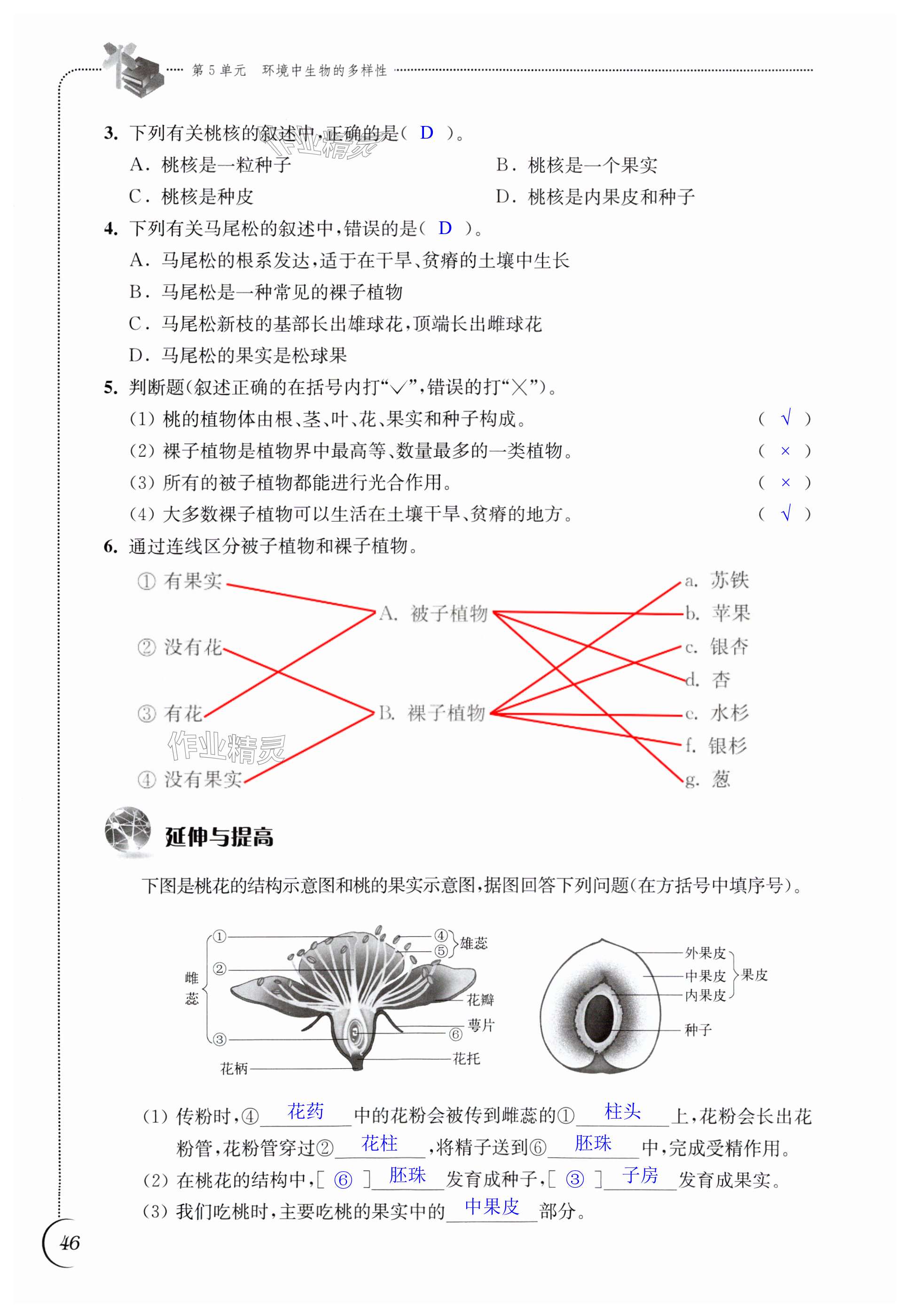 第46頁