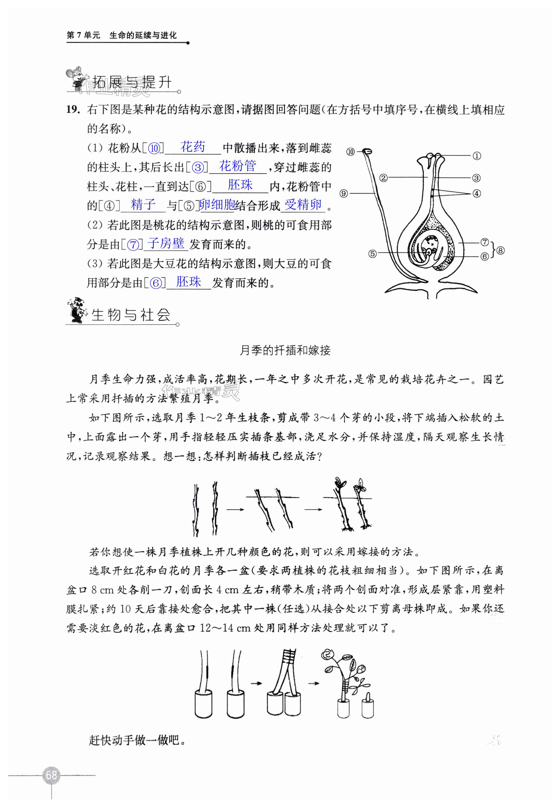 第68頁